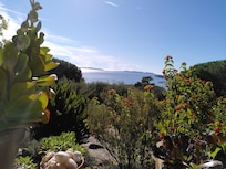 Blick von der Terrasse