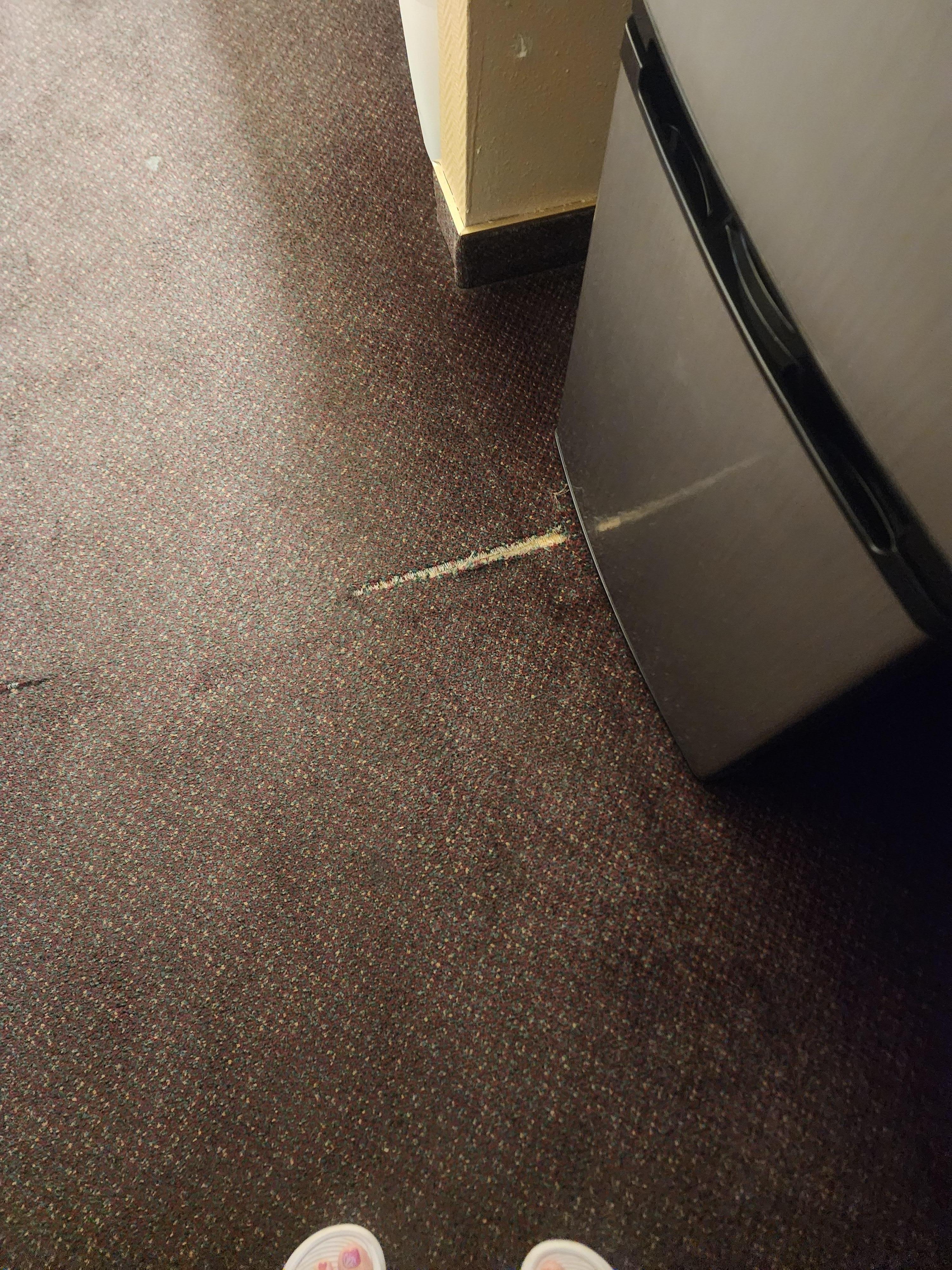 Ripped carpet