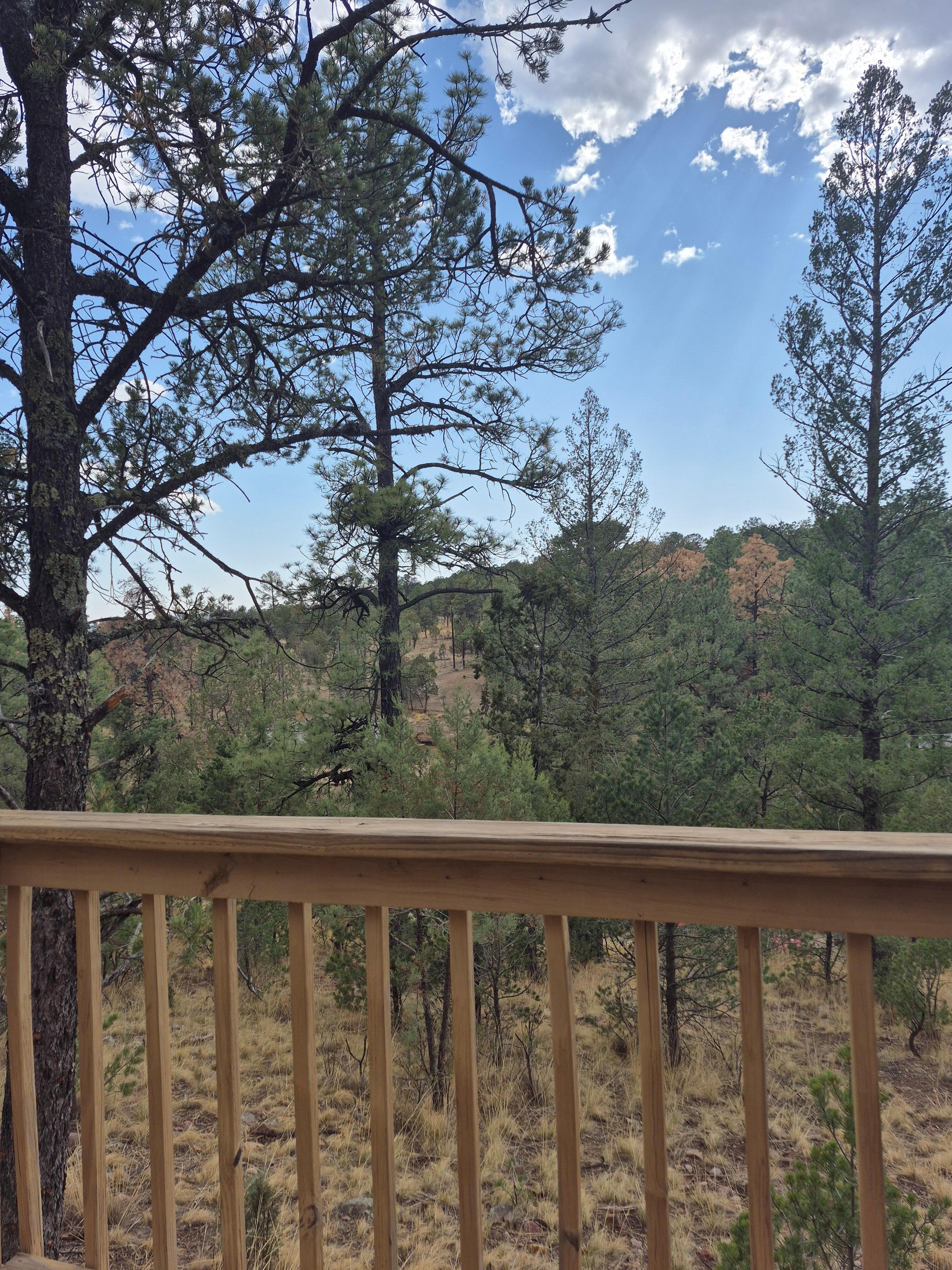 View from top of property at the pergola. 