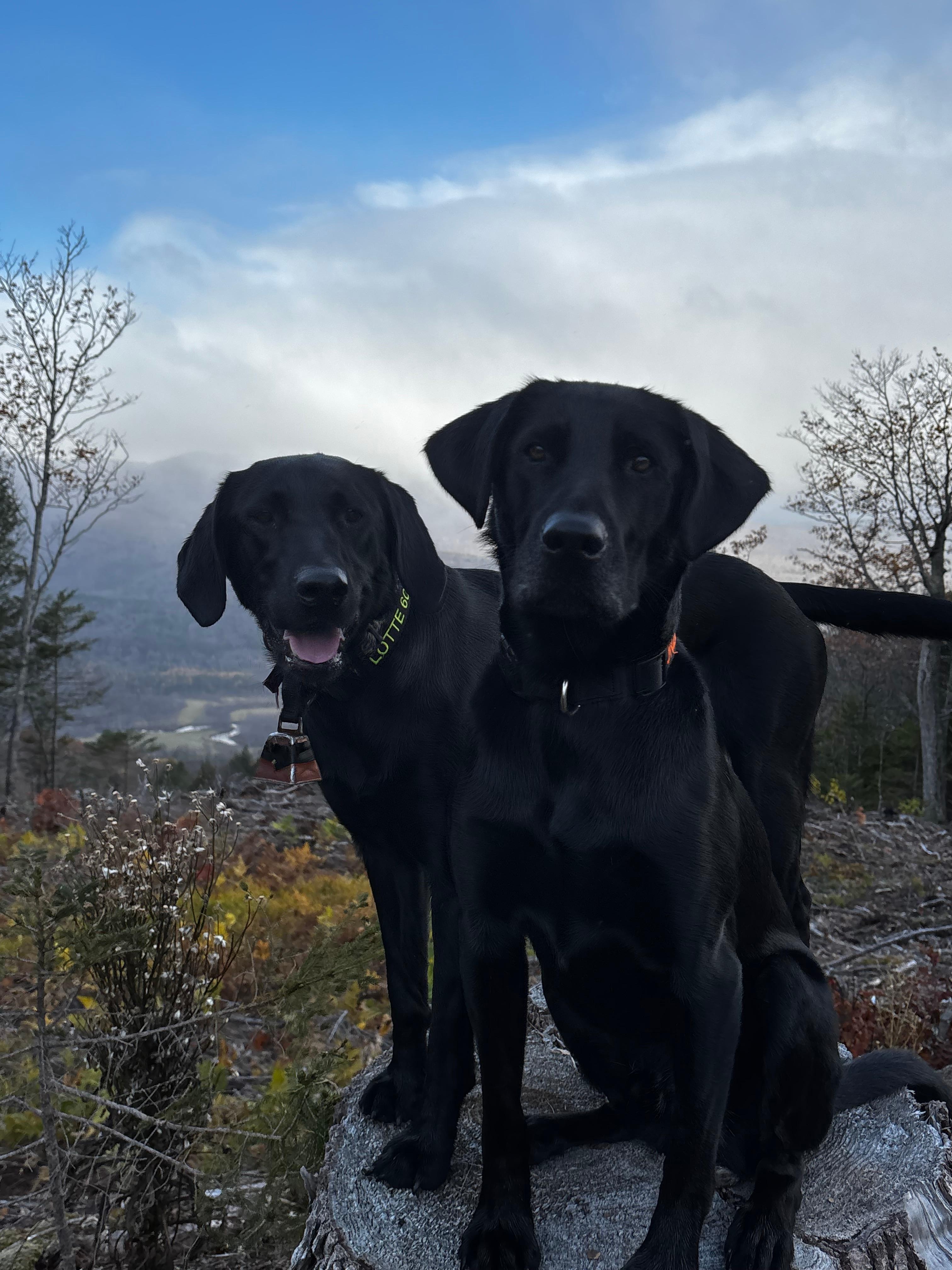 Out the back door and up Farmer’s Hill