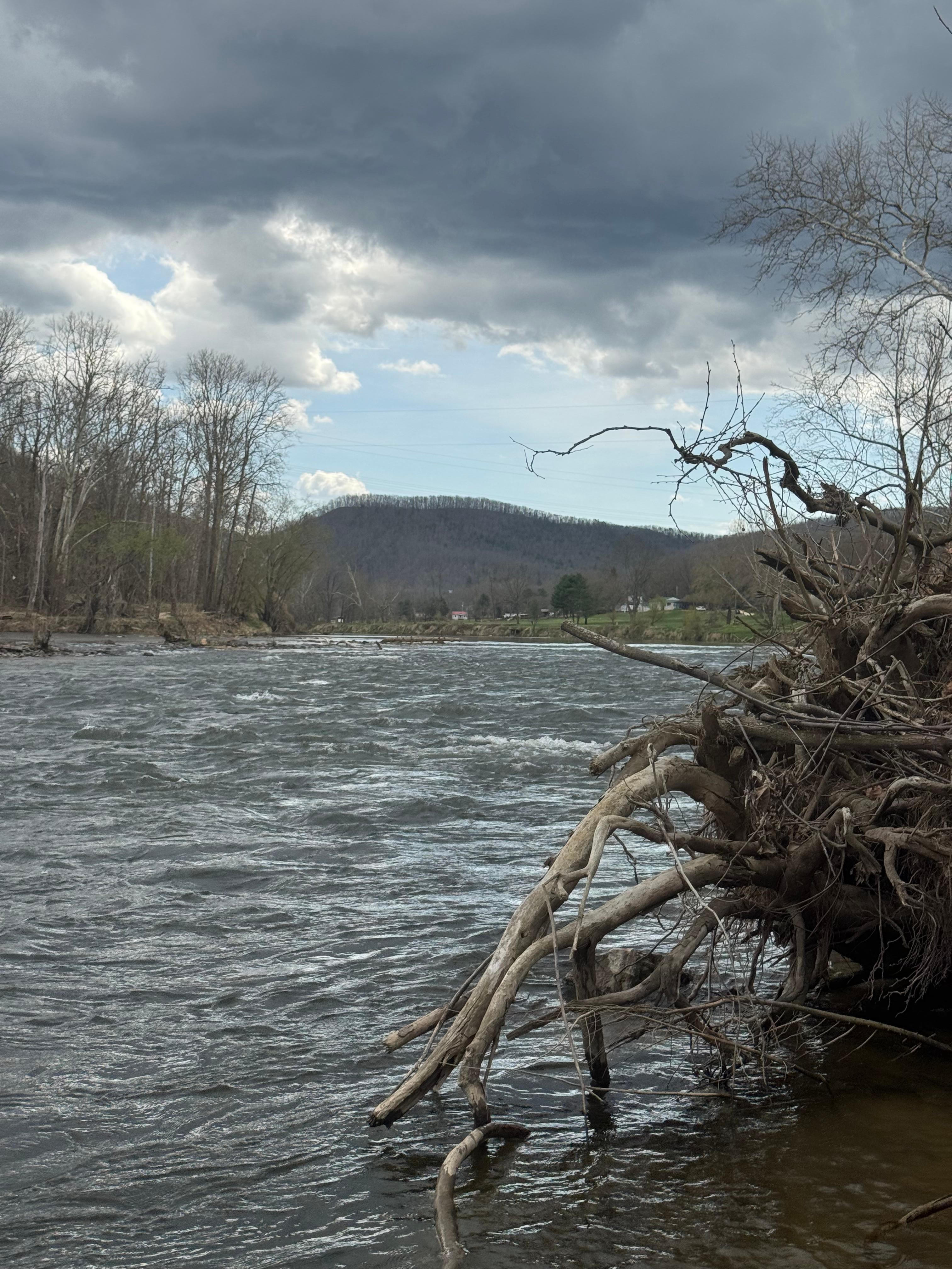 The view of the New River, which the back yard touches!