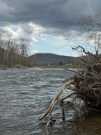The view of the New River, which the back yard touches!