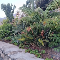 Altro vialetto interno della proprietĂ