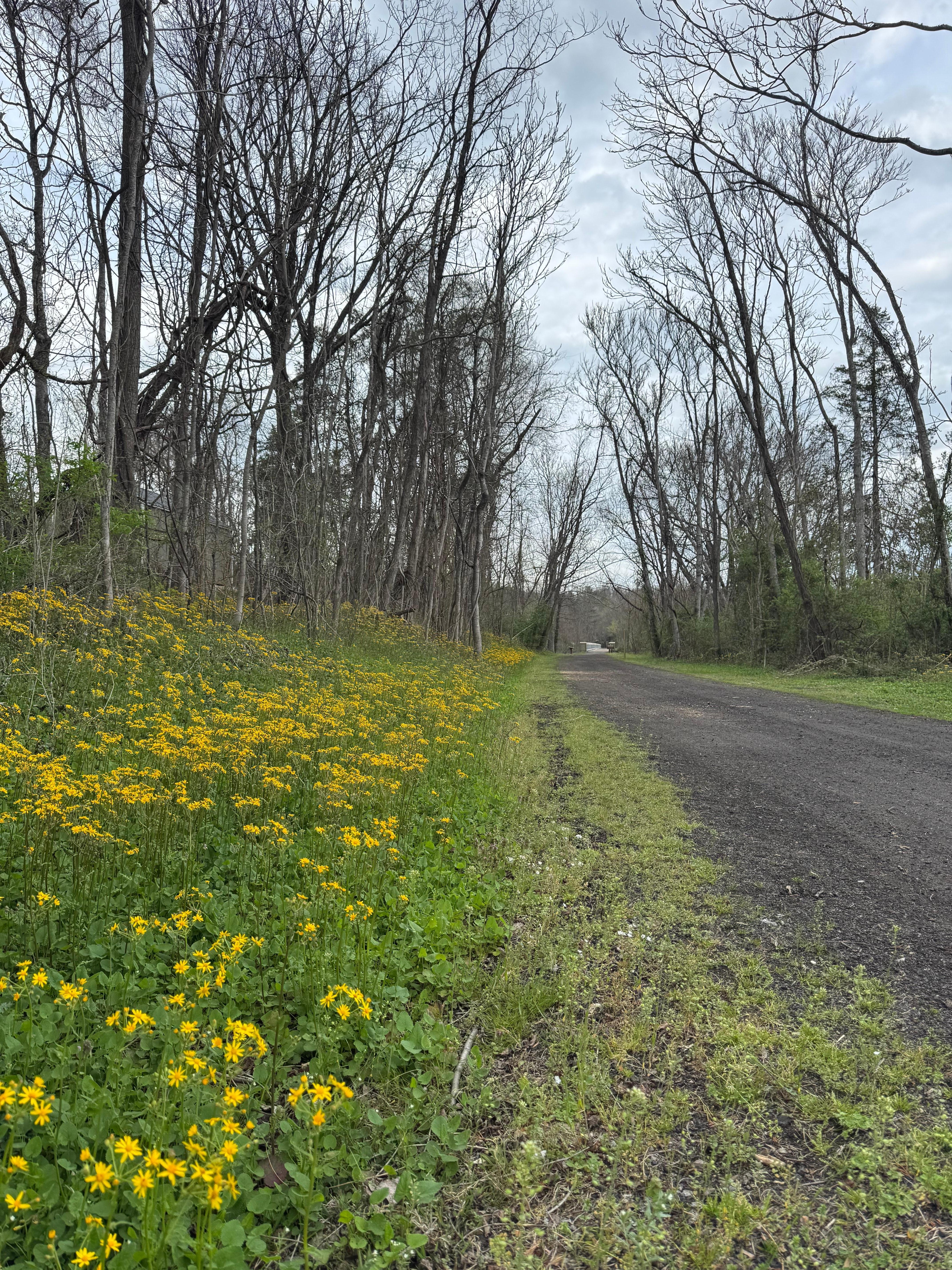 Nearby walking/biking path