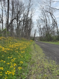 Nearby walking/biking path