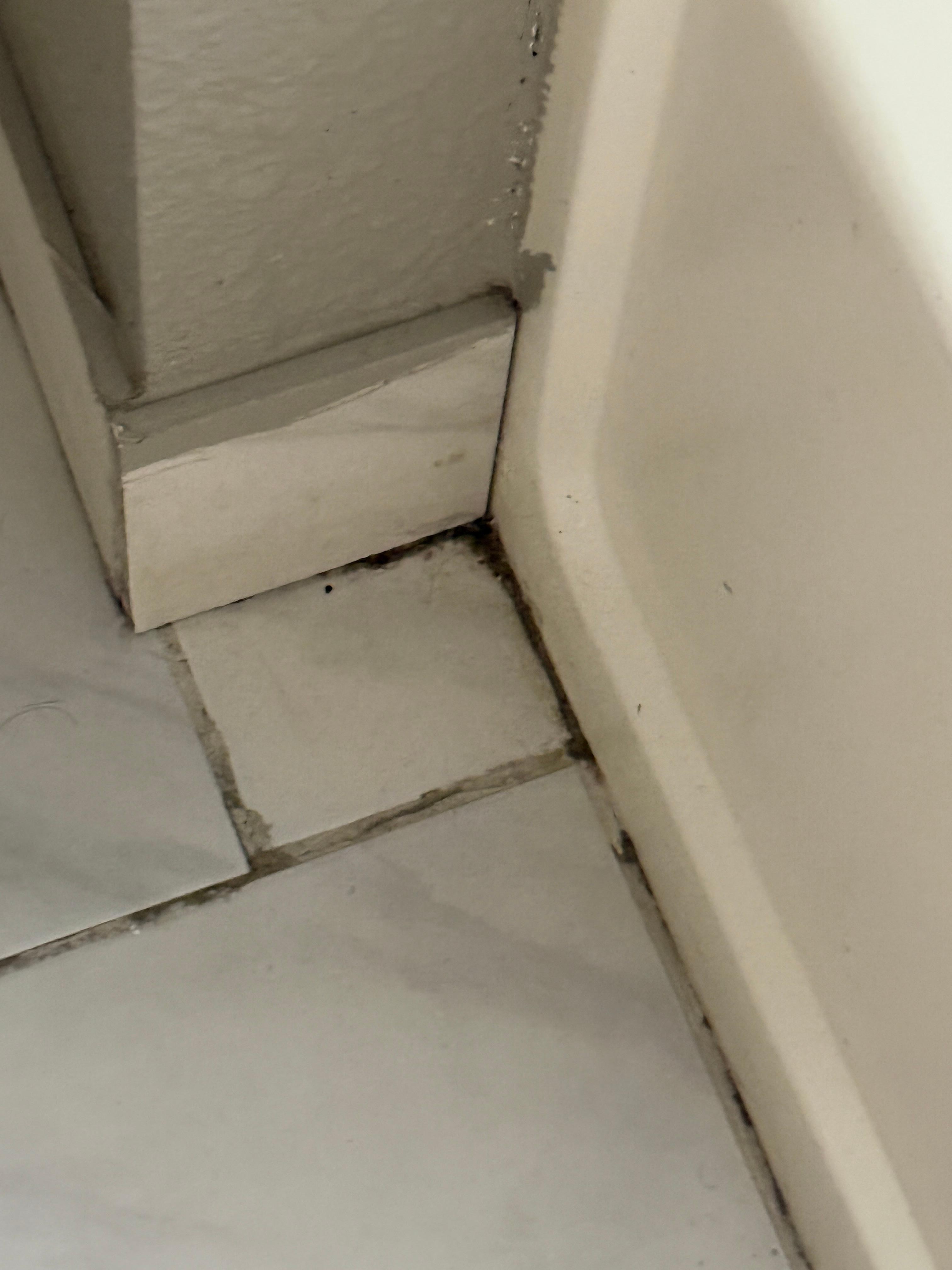 Left corner of the tub