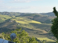 The view