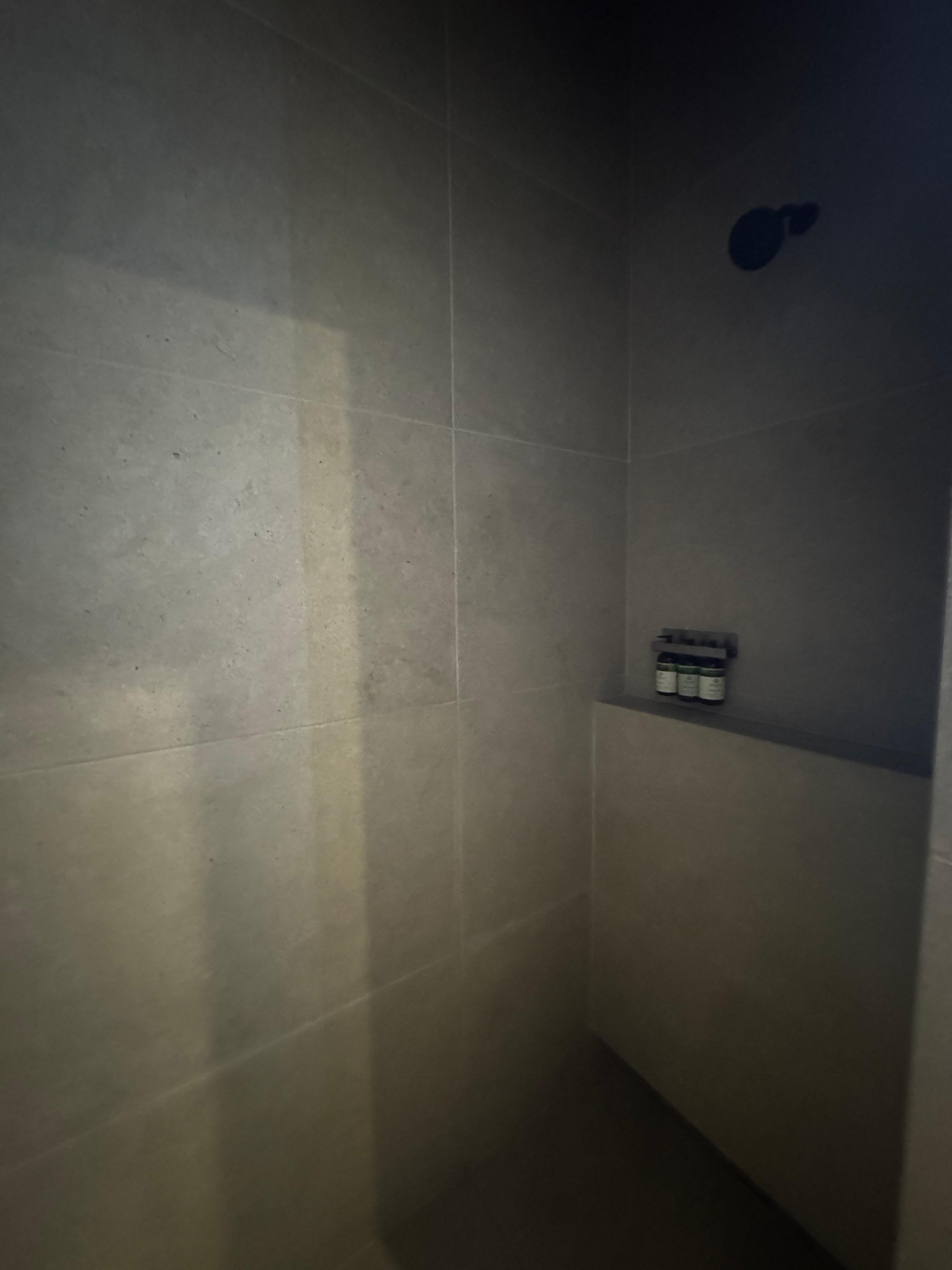 Good shower great water pressure