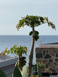 Vue depuis la terrasse