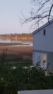 From the back deck