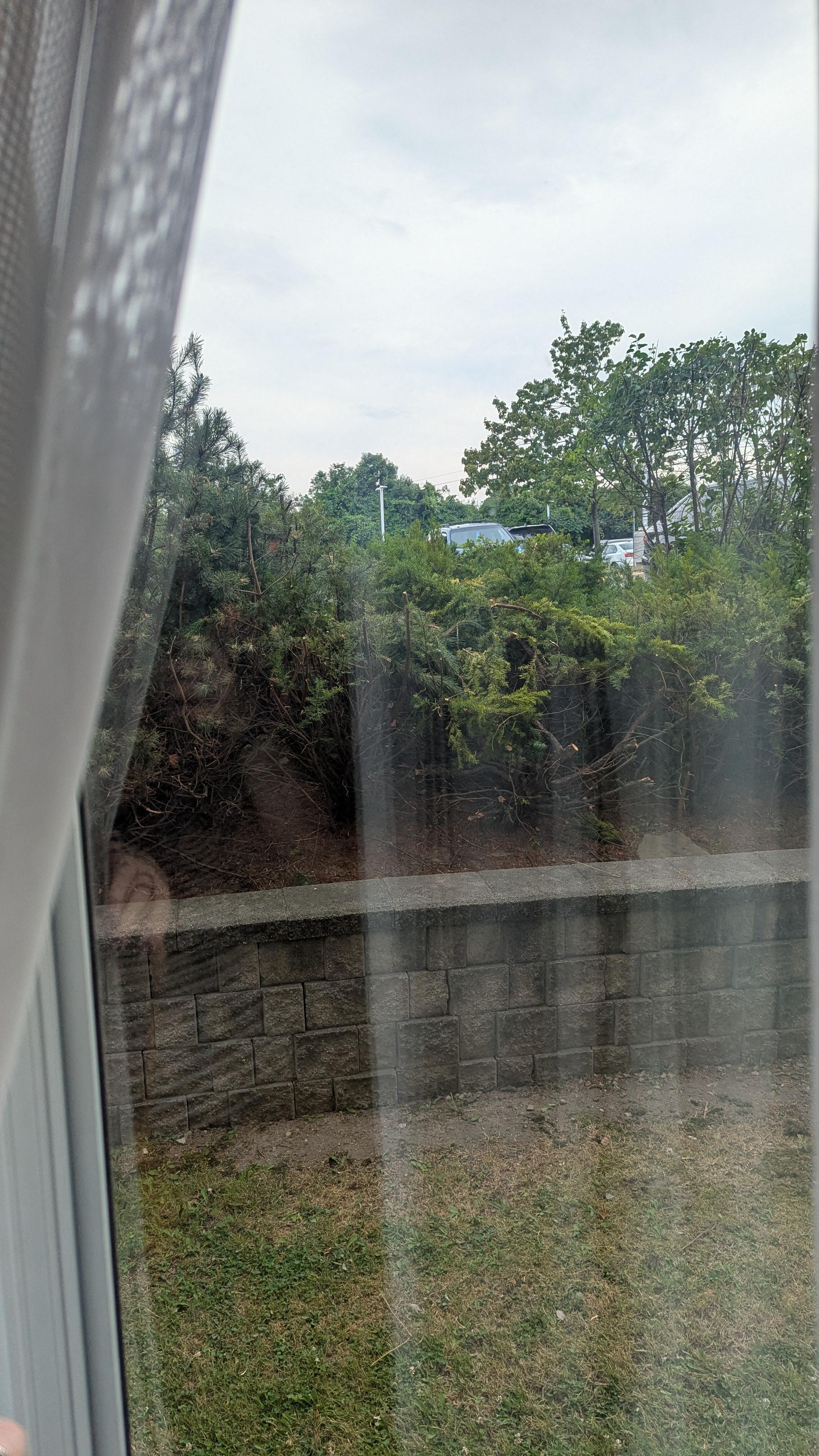 Our view from 106