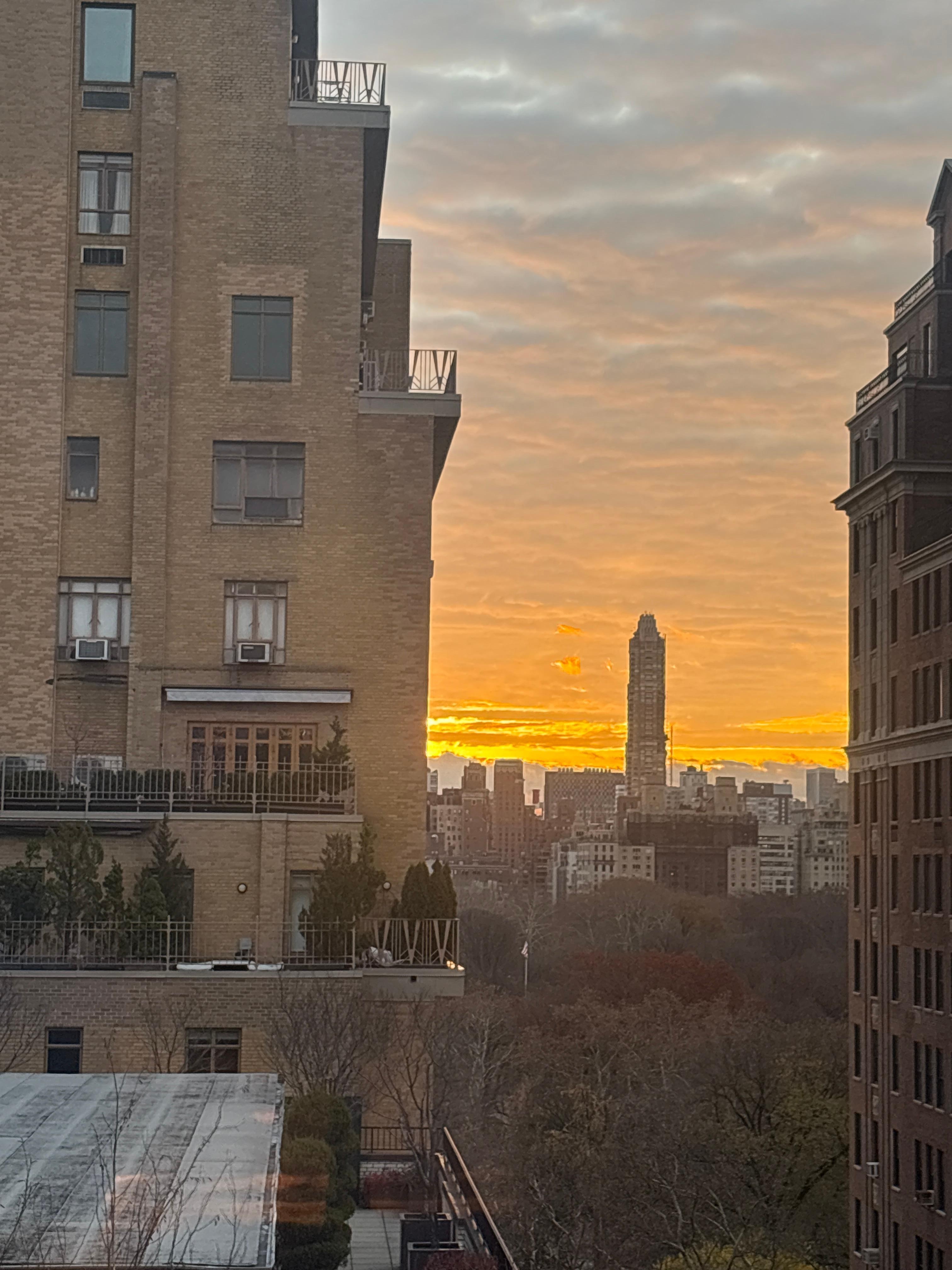 View from my room this morning 