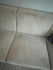 Sofa stains, felt damp and reeked mold/mildew