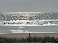Waves