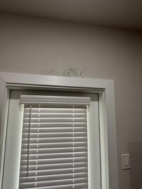 Mold was visible above the door in the attic-level bedroom. The door and doorknob felt damp to the touch, confirming moisture in the area.