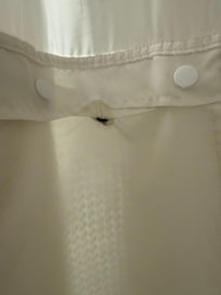 Mold on shower curtain