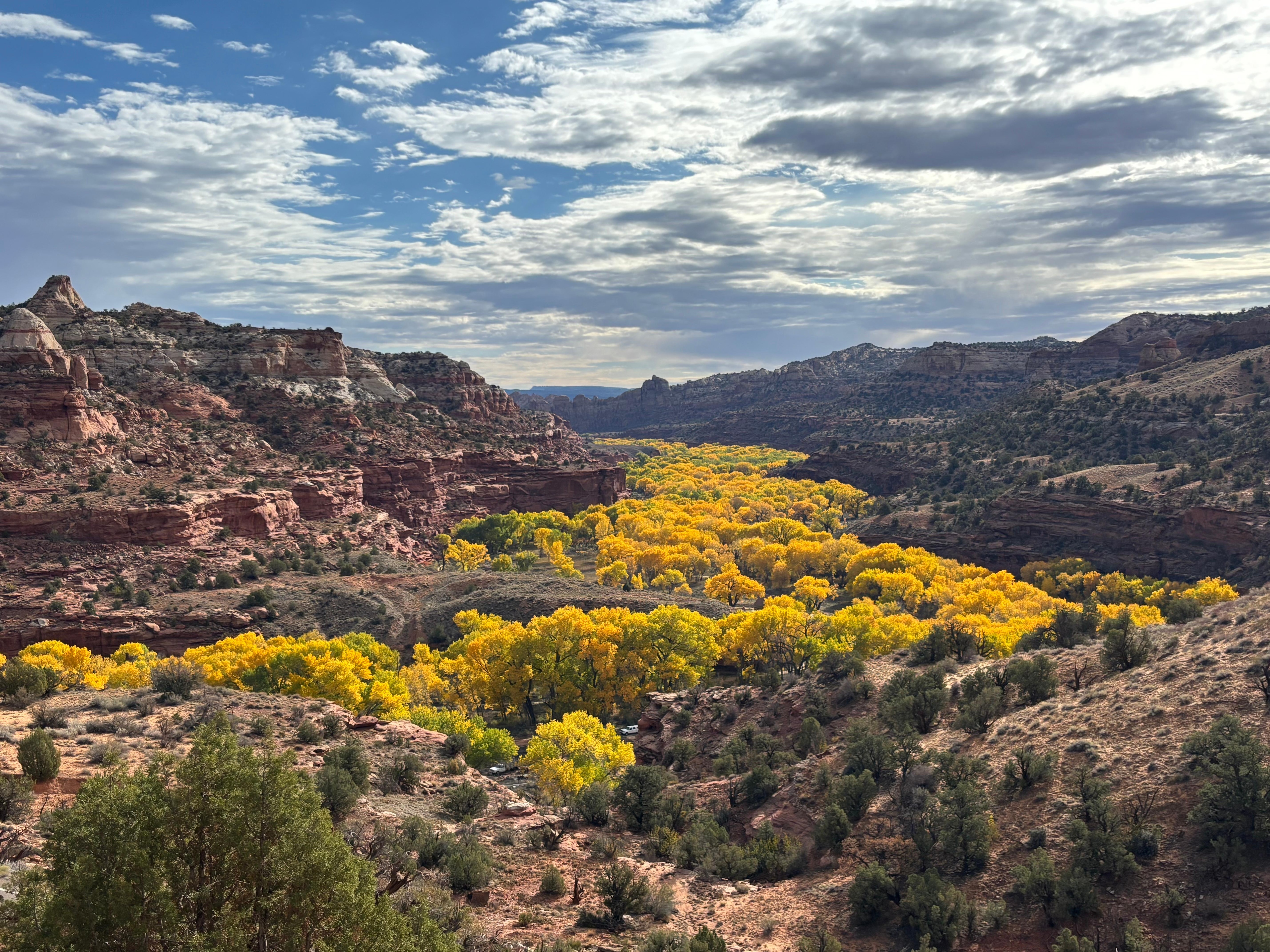 View from scenic Highway 12