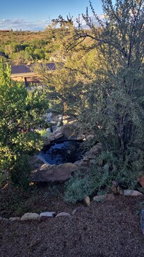 Tranquil pond on property