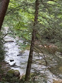 View from the back deck.