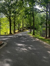 Beautiful surroundings!