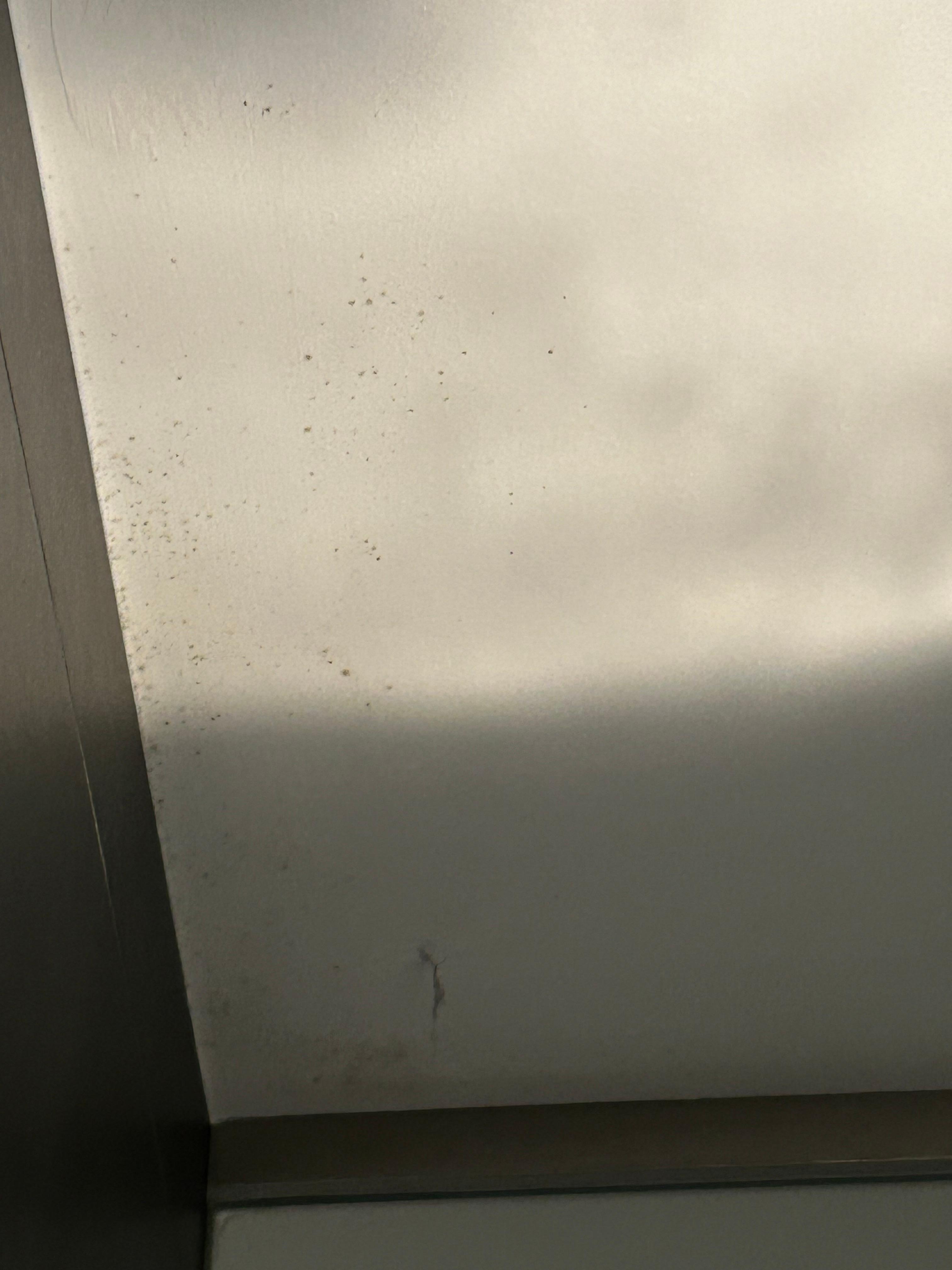 Mould on ceiling in the shower 