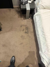 Can you imagine being in bear feet?