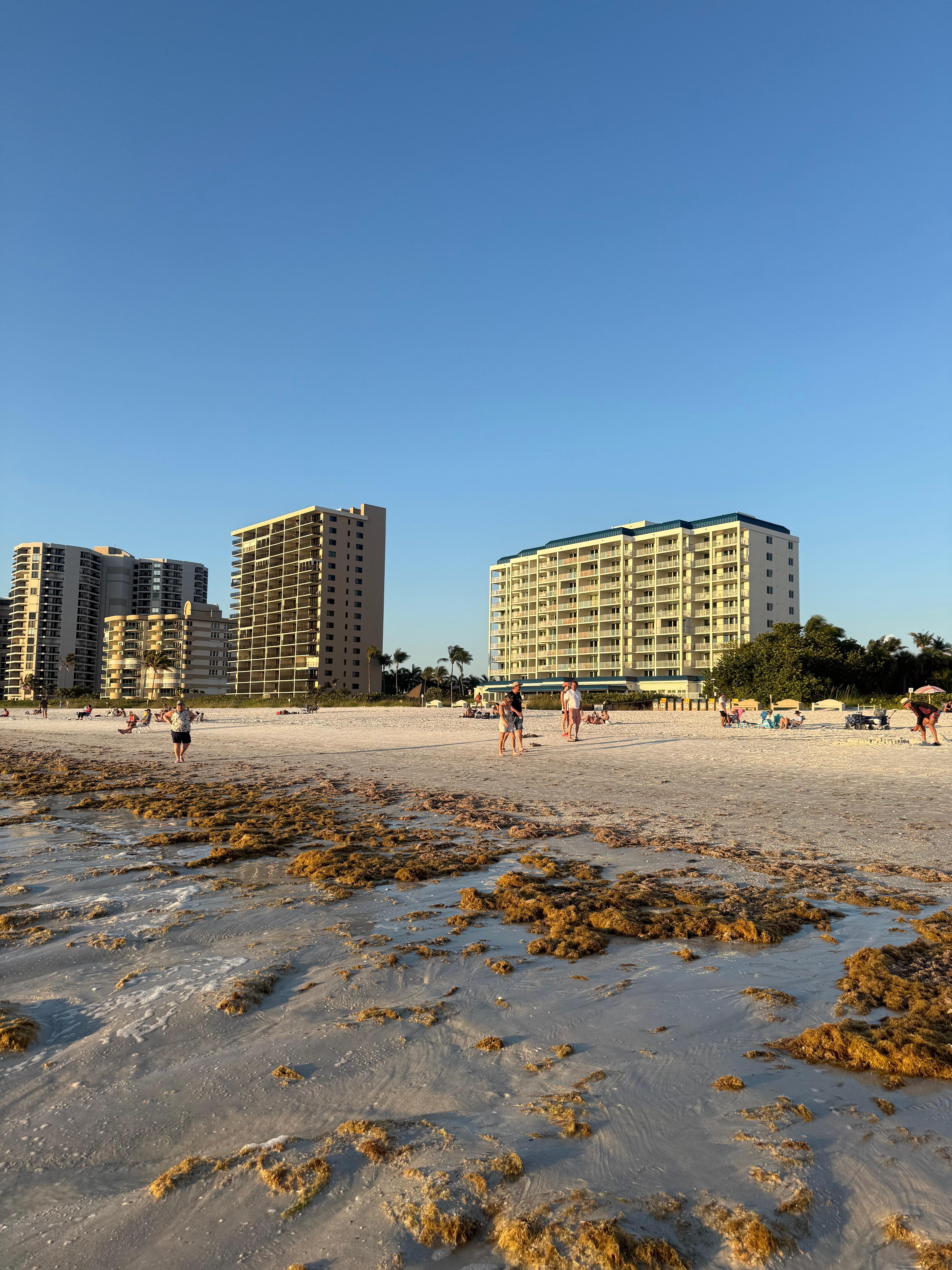 View of Apollo from the beach