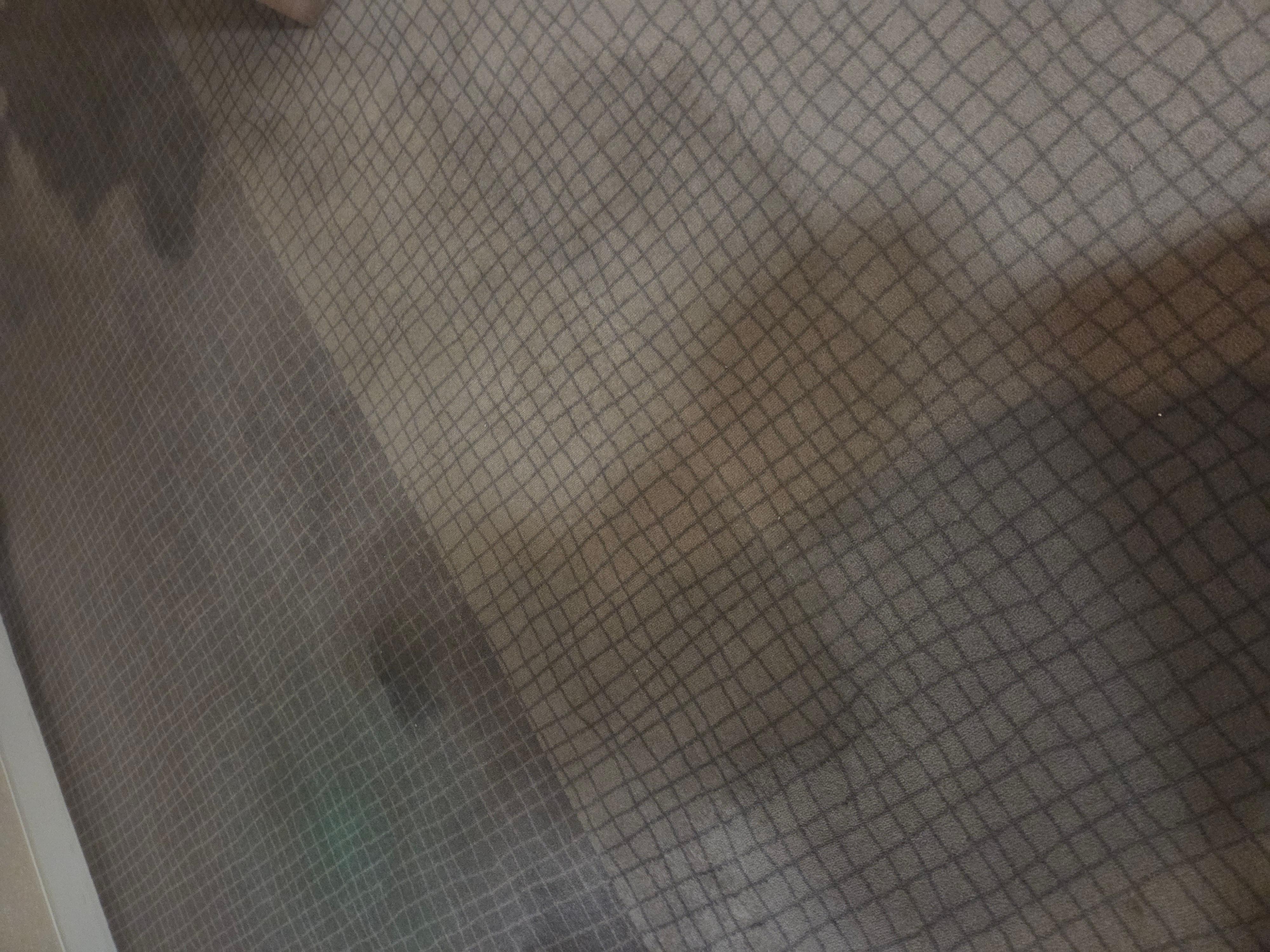 Oddly stained floors