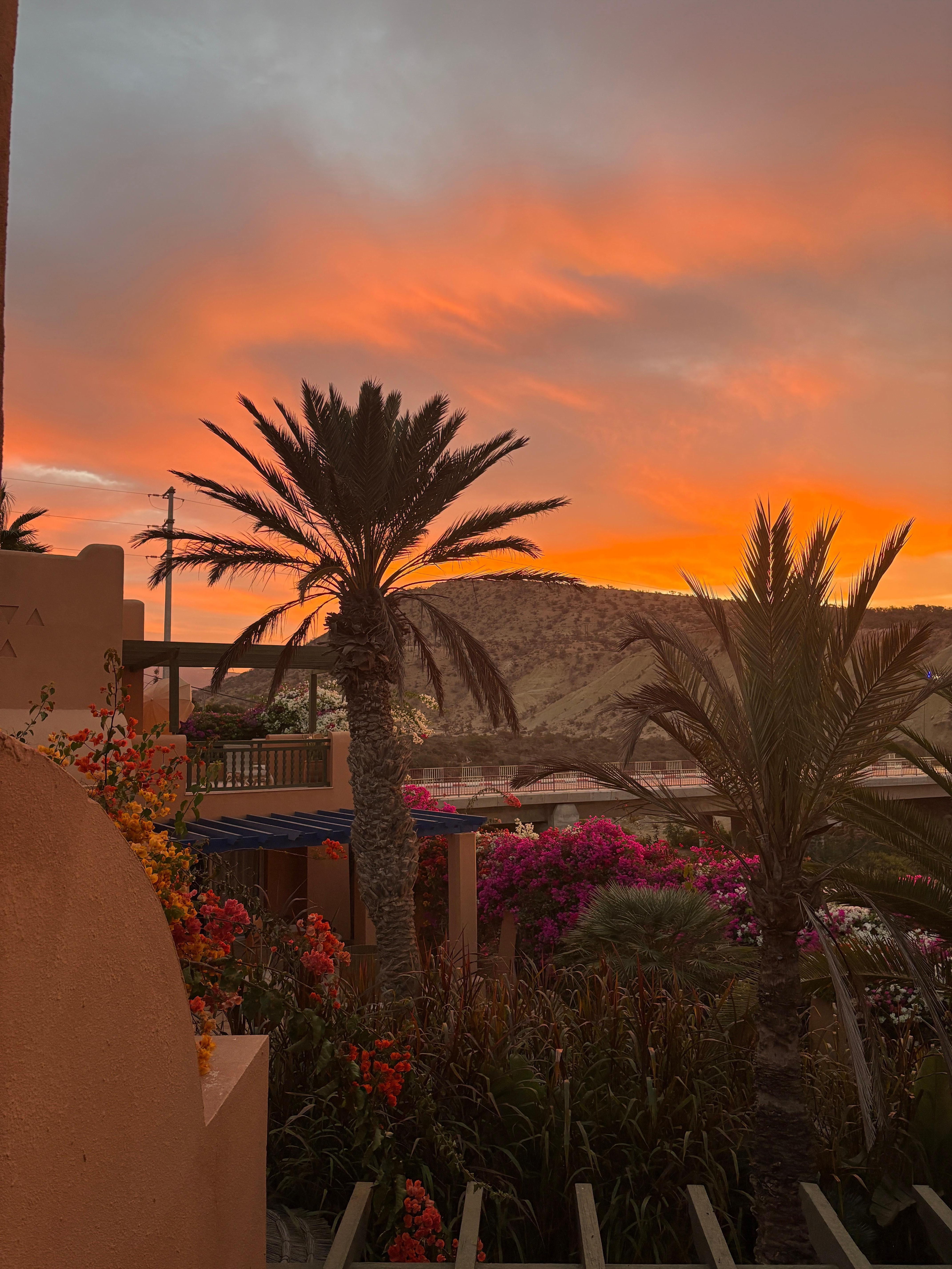 Vue de la chambre au petit matin 