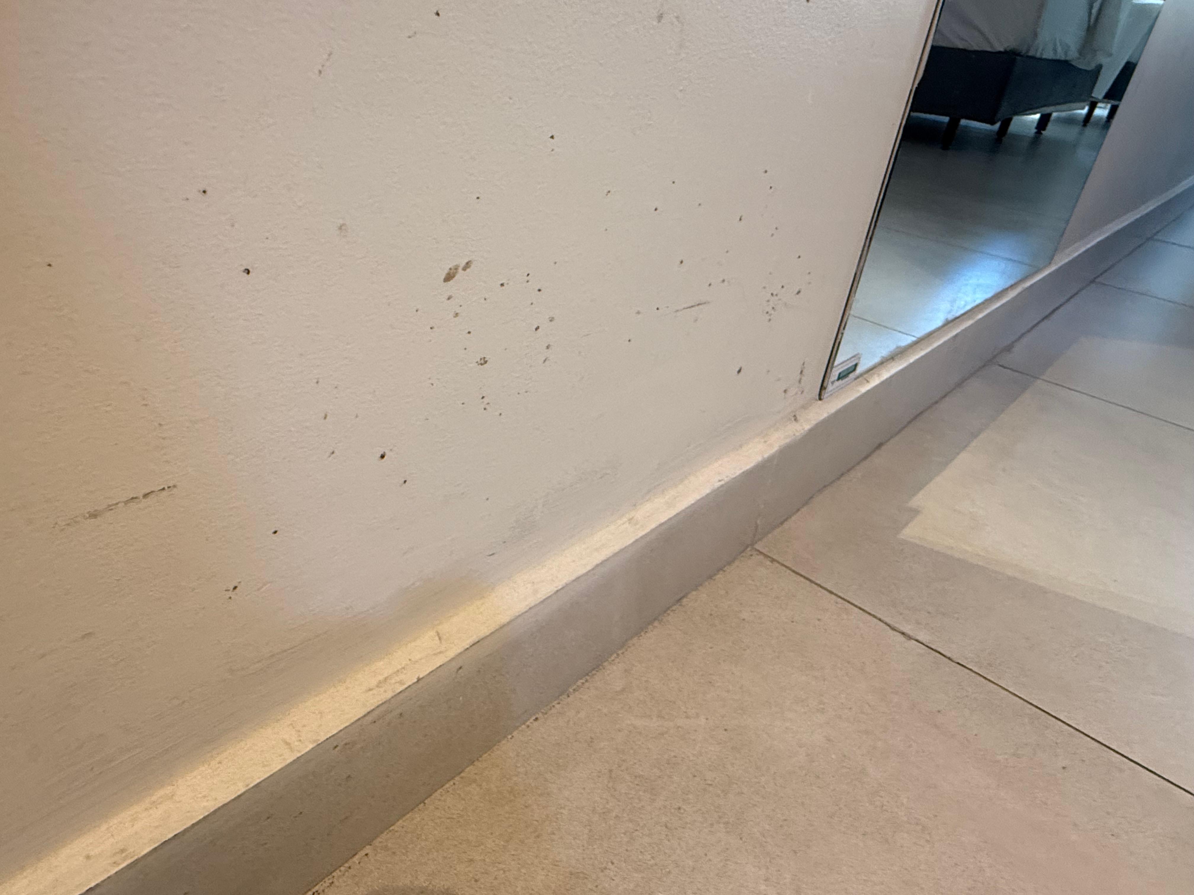 Plinth missing cleaning and wall needing paint work