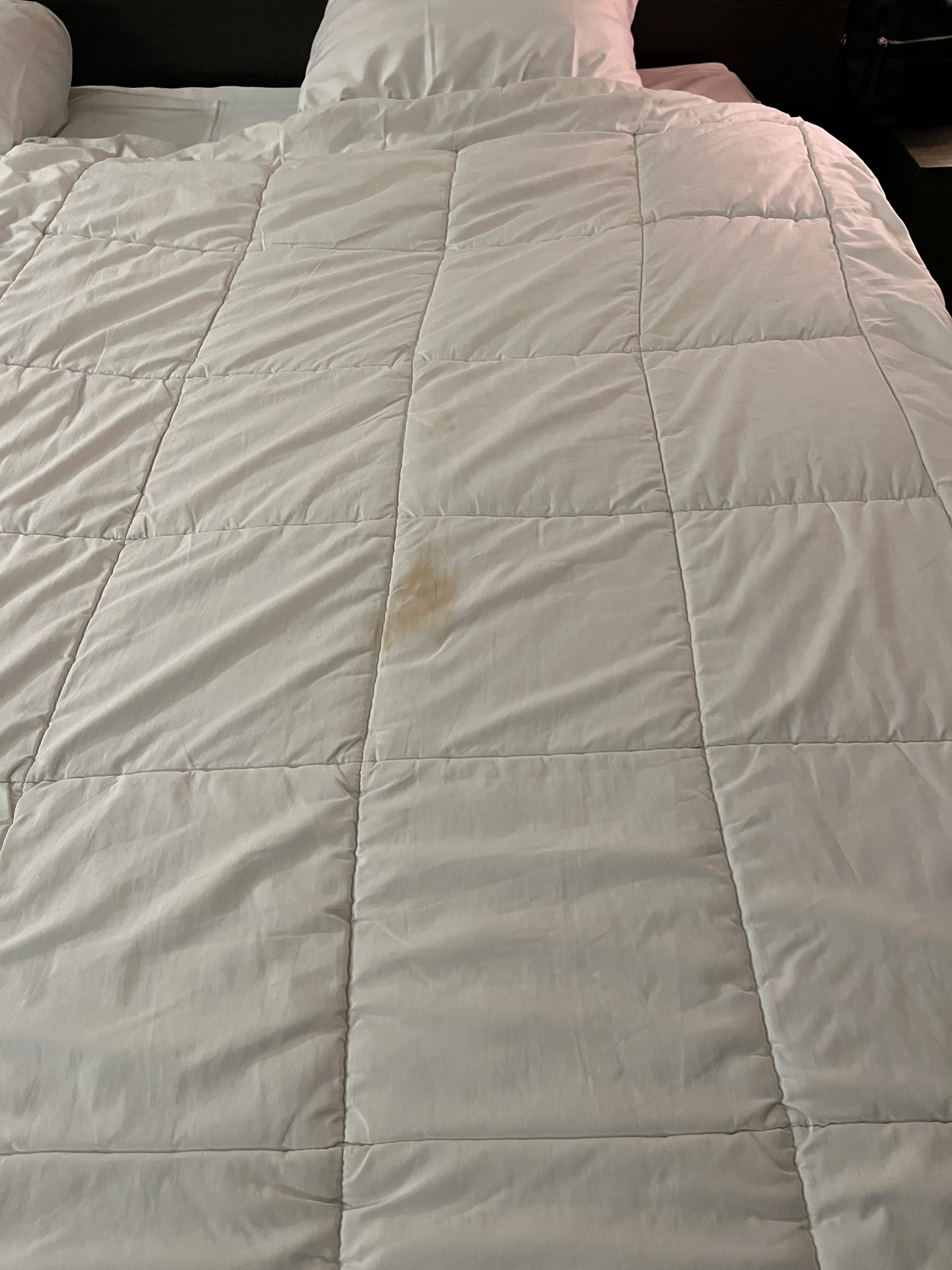 No one came to clean the room next day