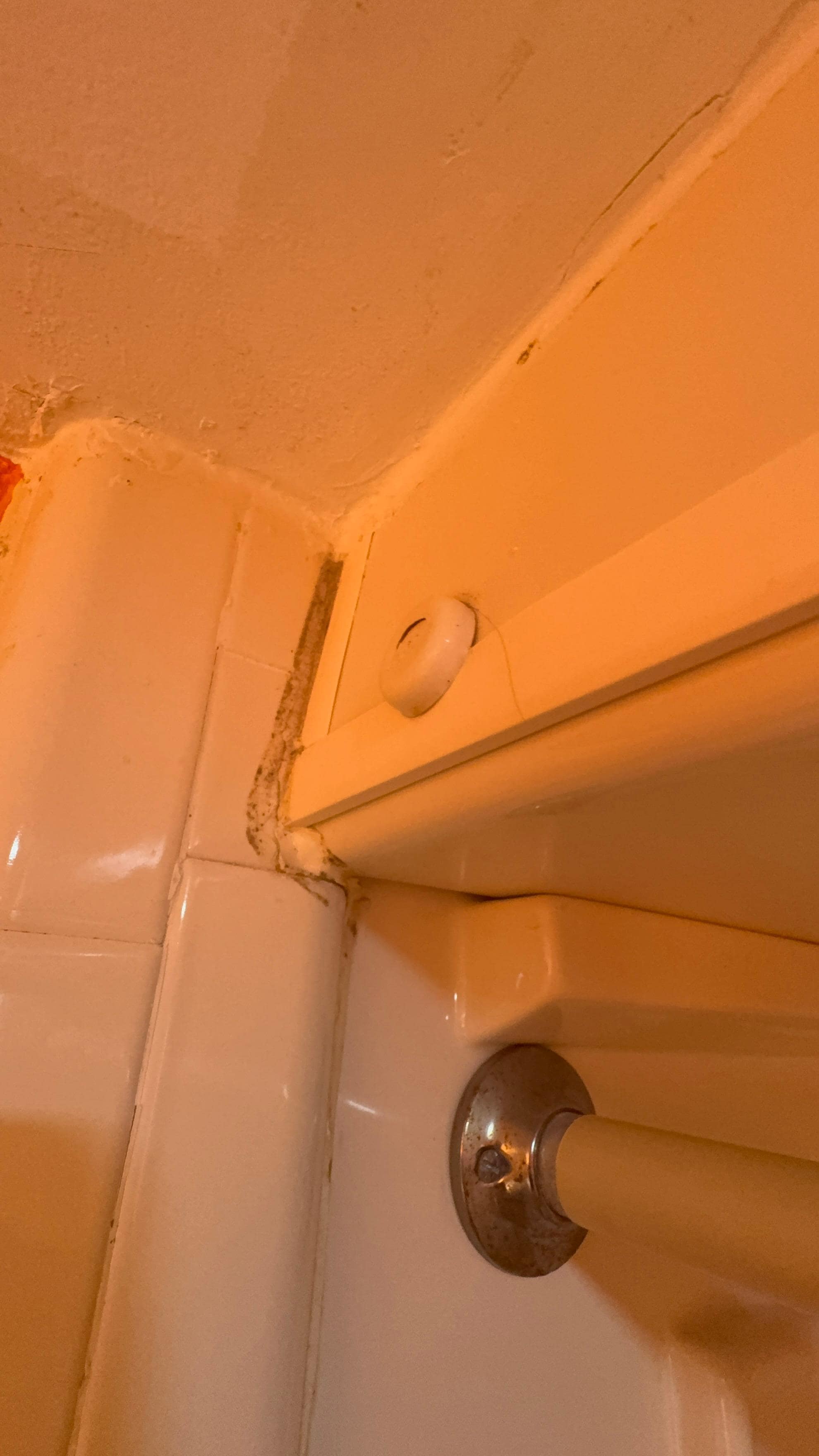 mildew in bathroom shower