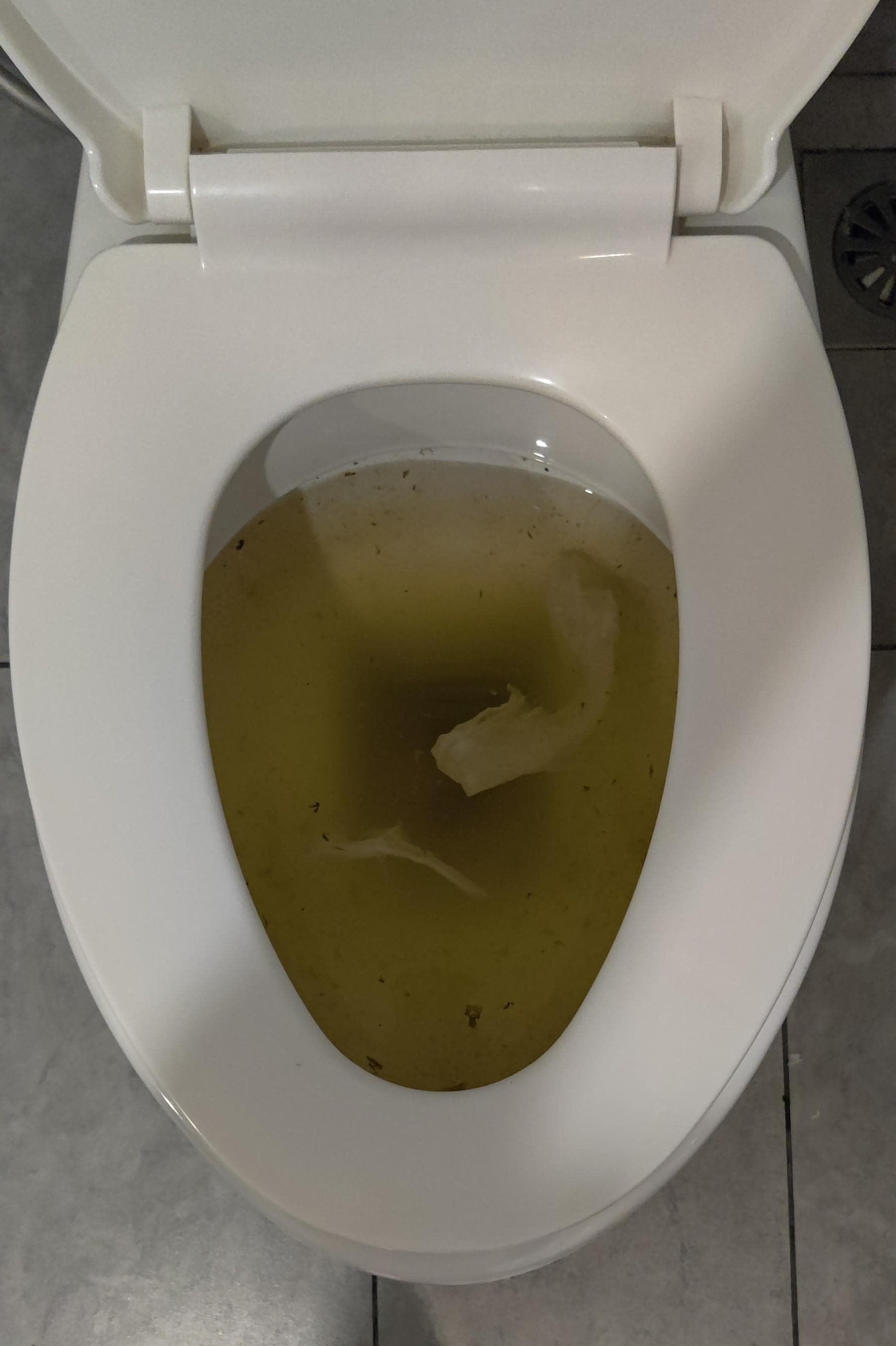 Clogged toilet