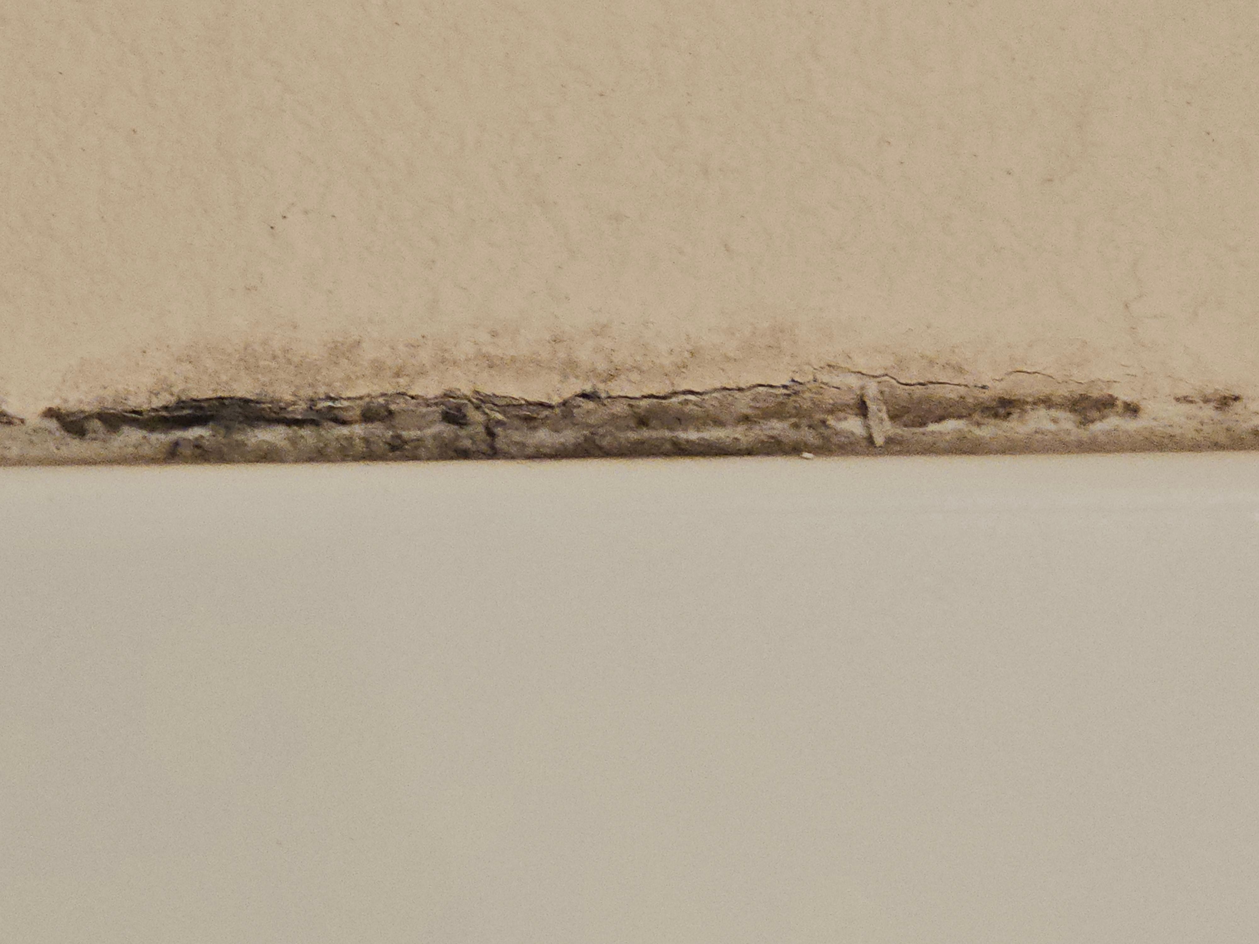 Mold around shower enclosure. Room 207
