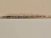 Mold around shower enclosure. Room 207