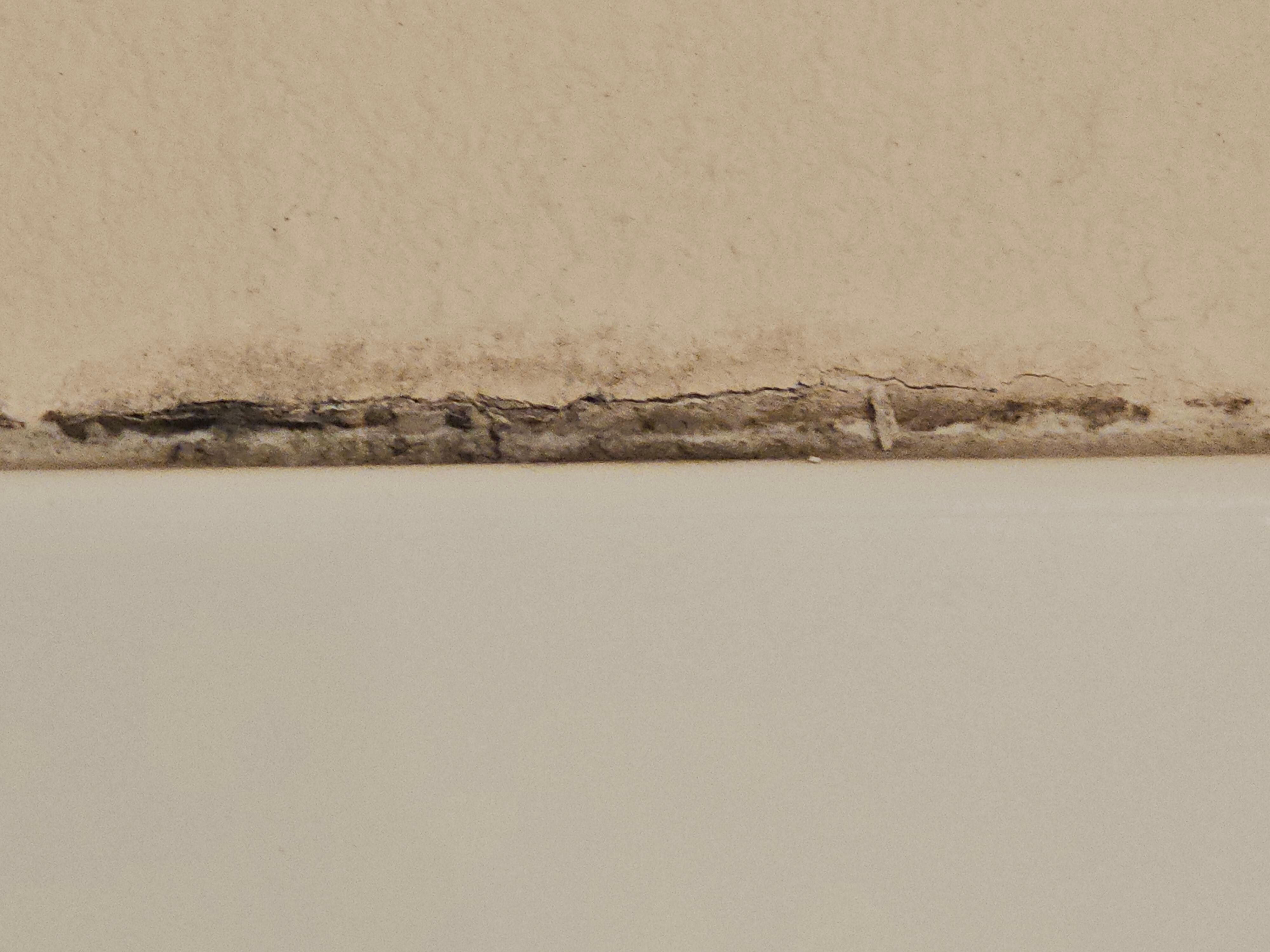 Mold around shower enclosure. Room 207