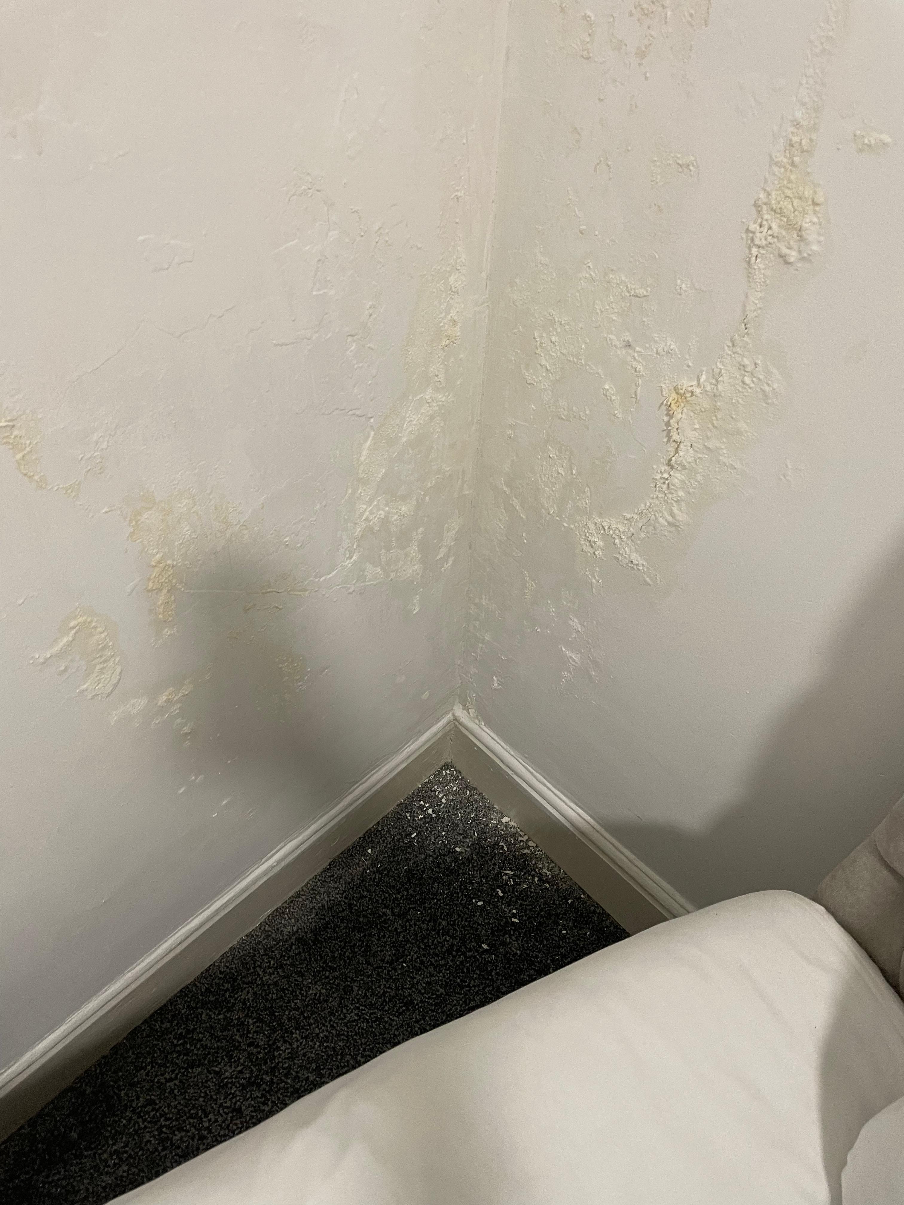 Peeling/flaking wallpaper near headboards