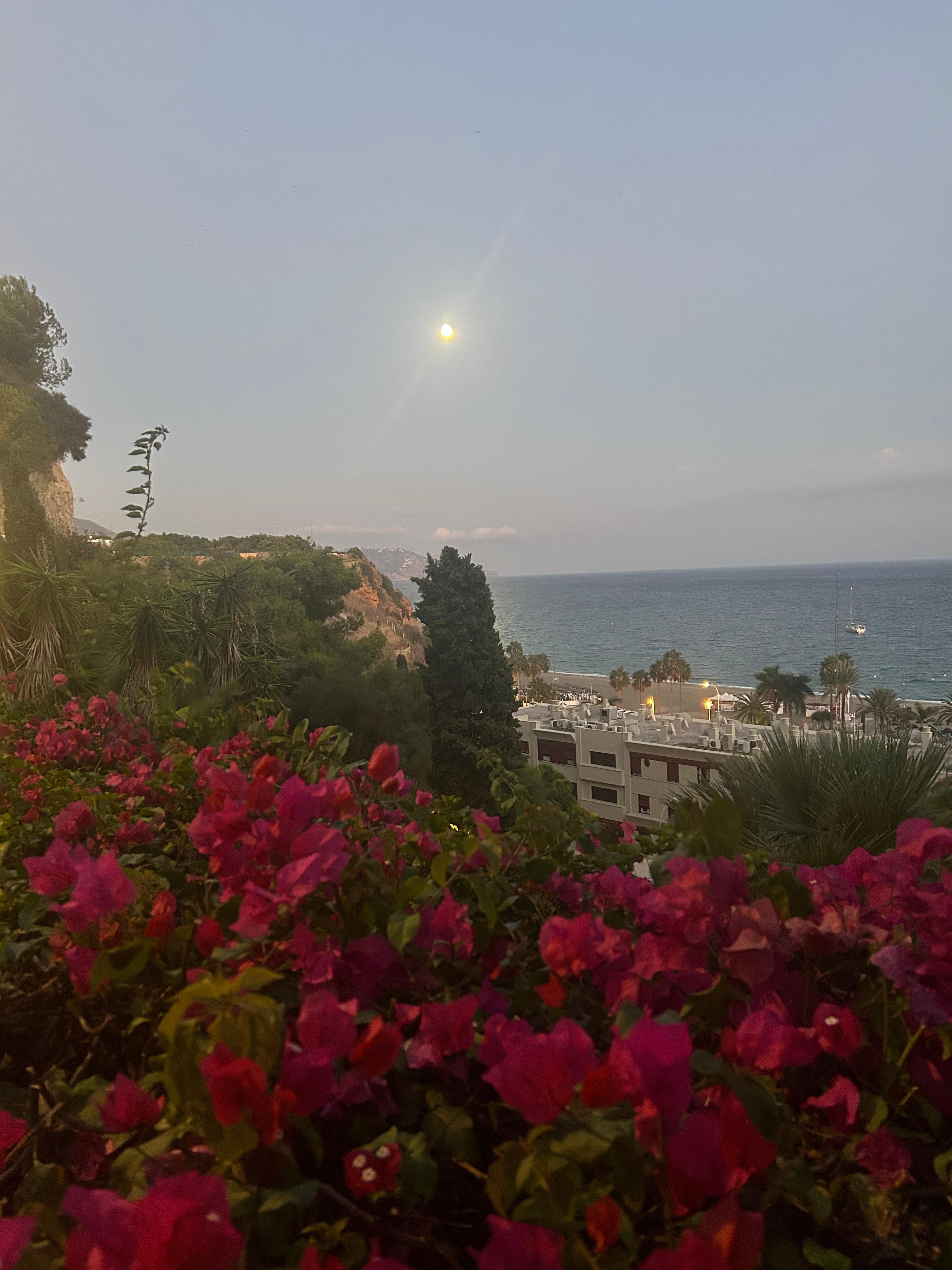 View half way down the steps to Burriana Beach
