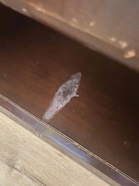 Scuffed and stained furniture