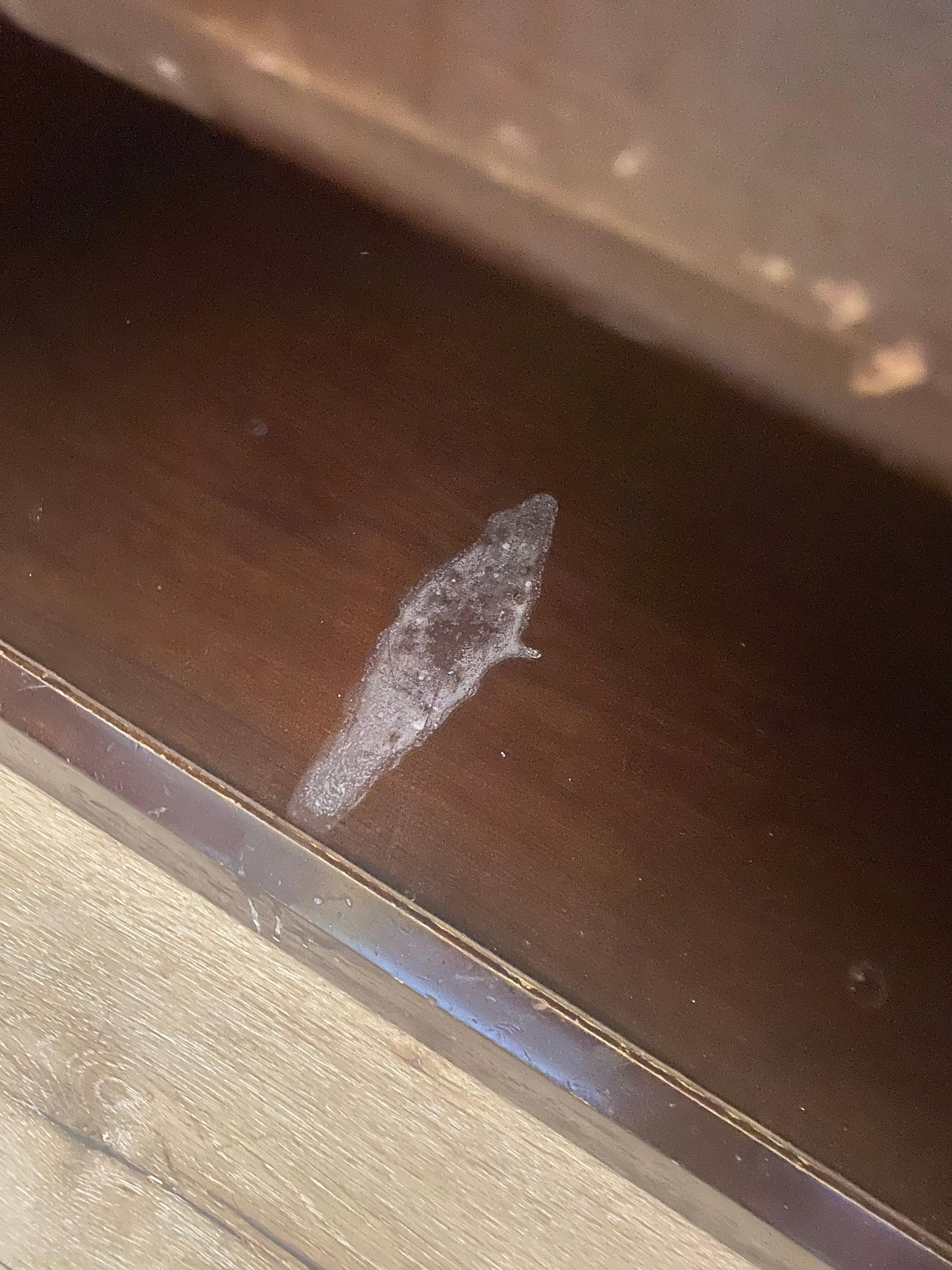 Scuffed and stained furniture 
