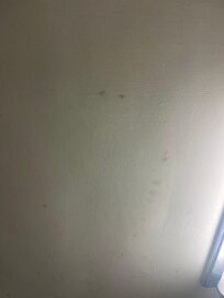 Stains on the ceiling
