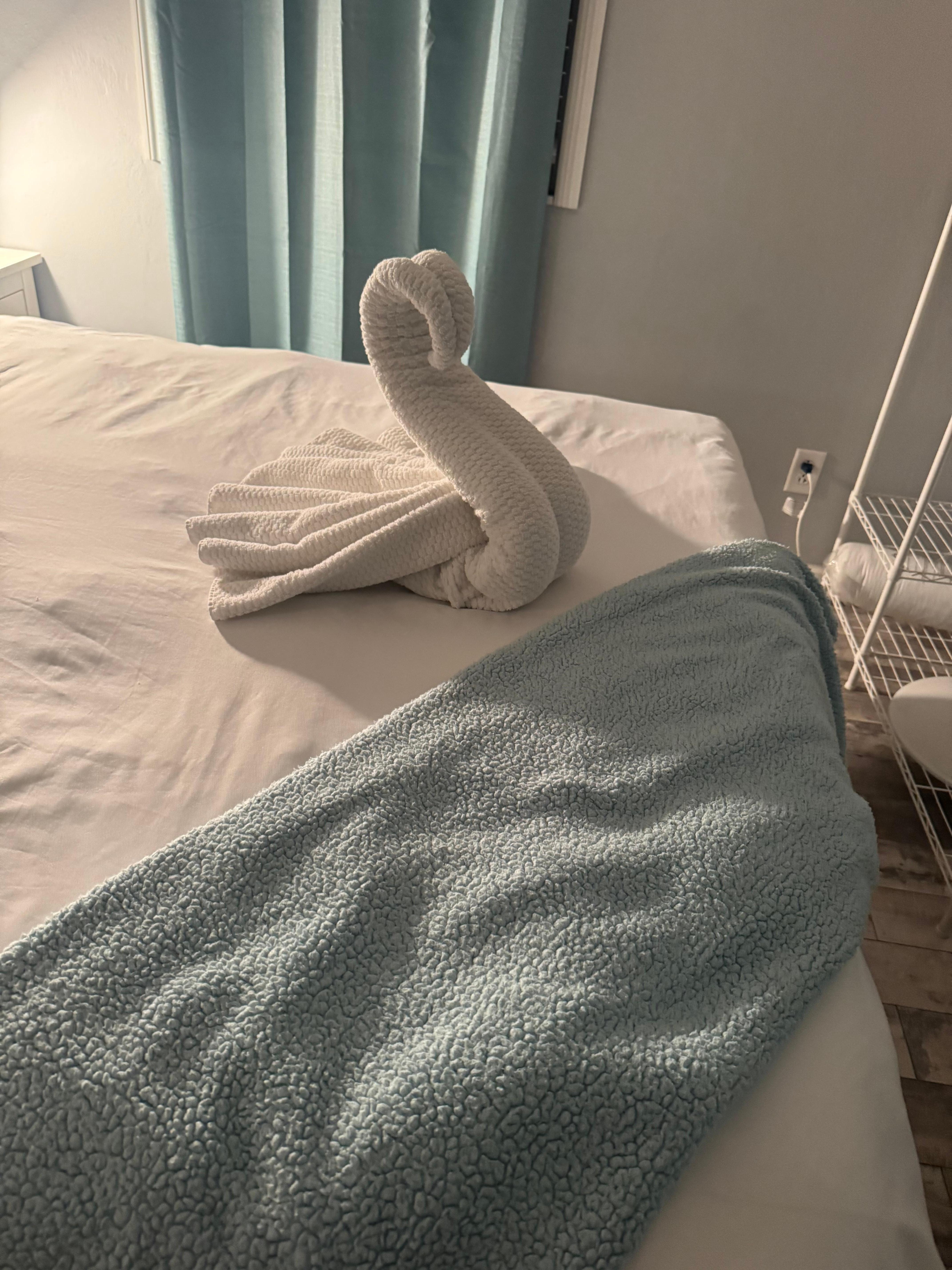 Towel art upon arrival. 