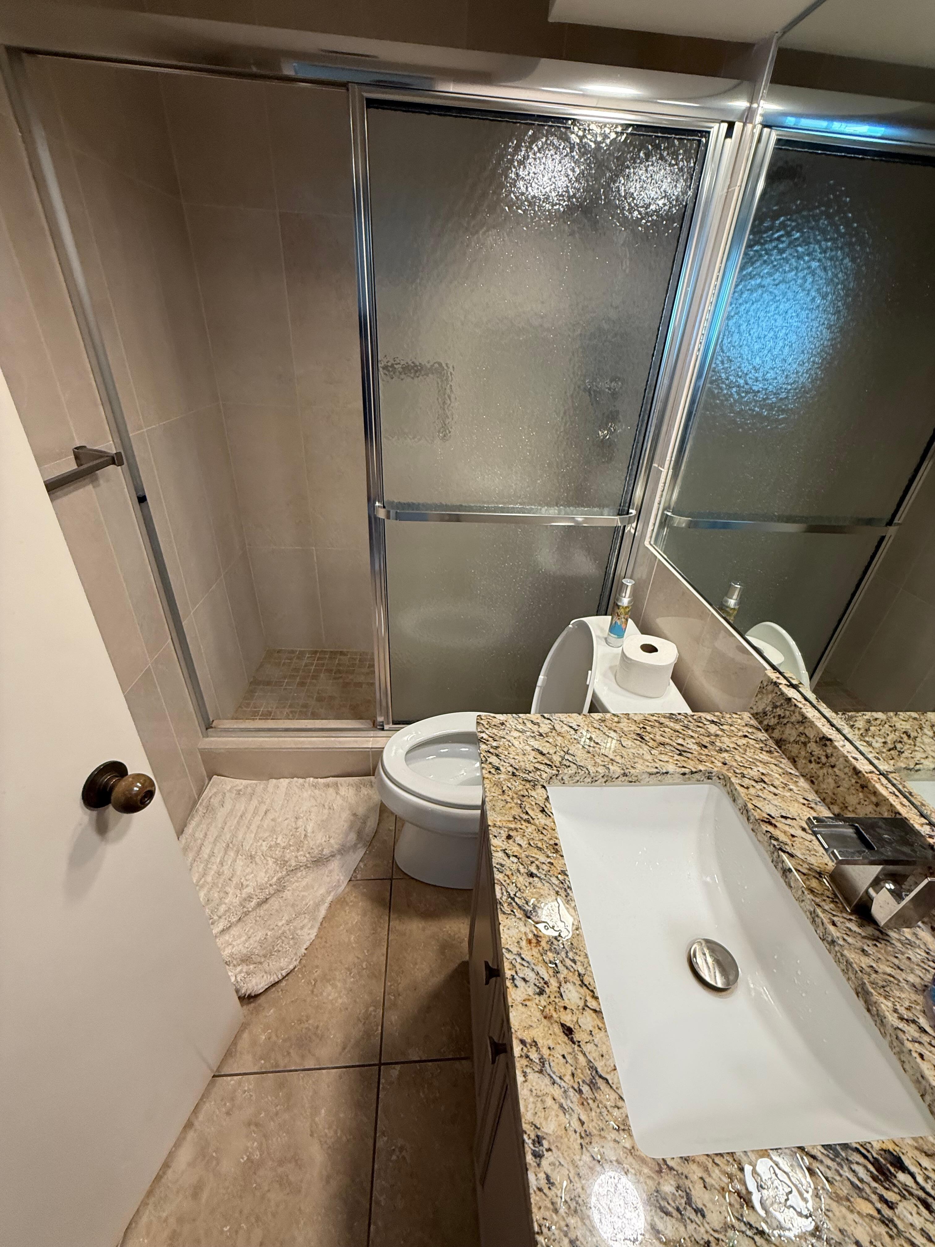 Guest bathroom