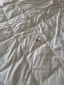 Dirty sheets