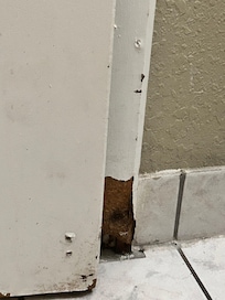 Nasty bathroom