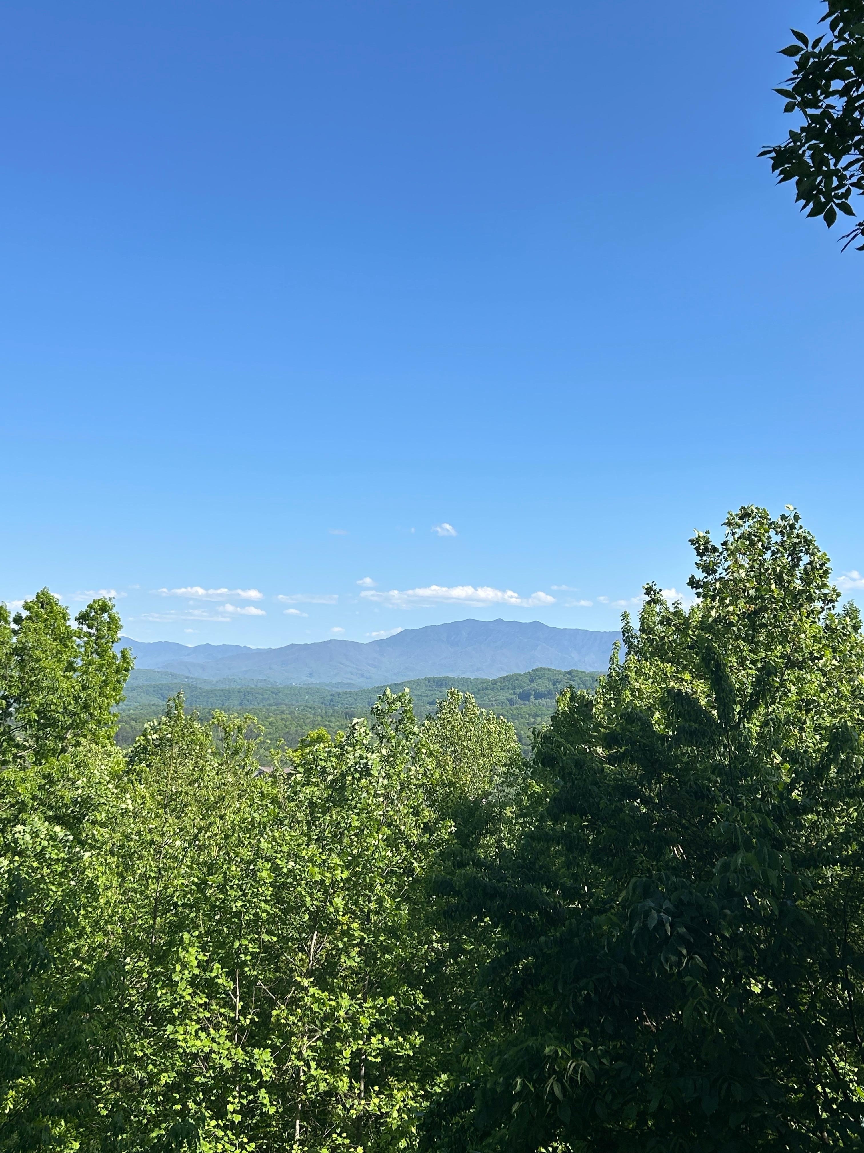 Our view!