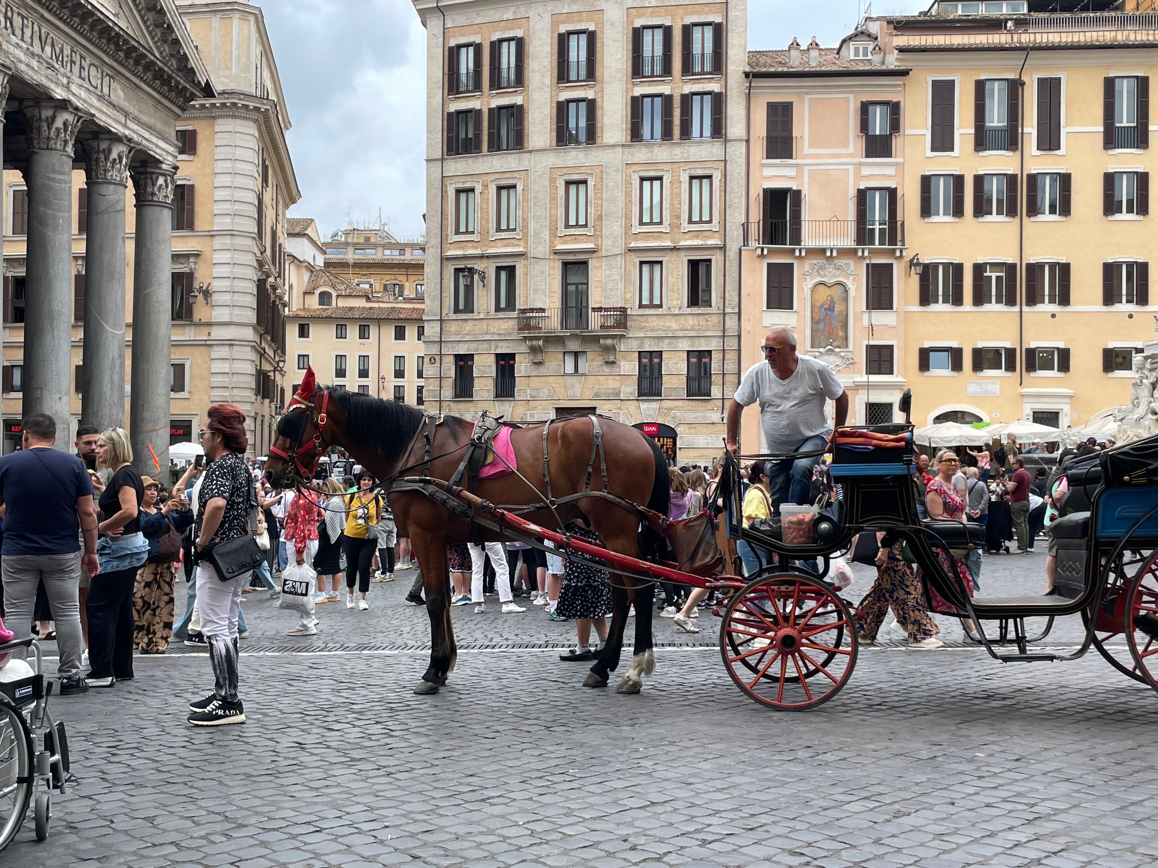 Horse Carriage is still viable transportation.