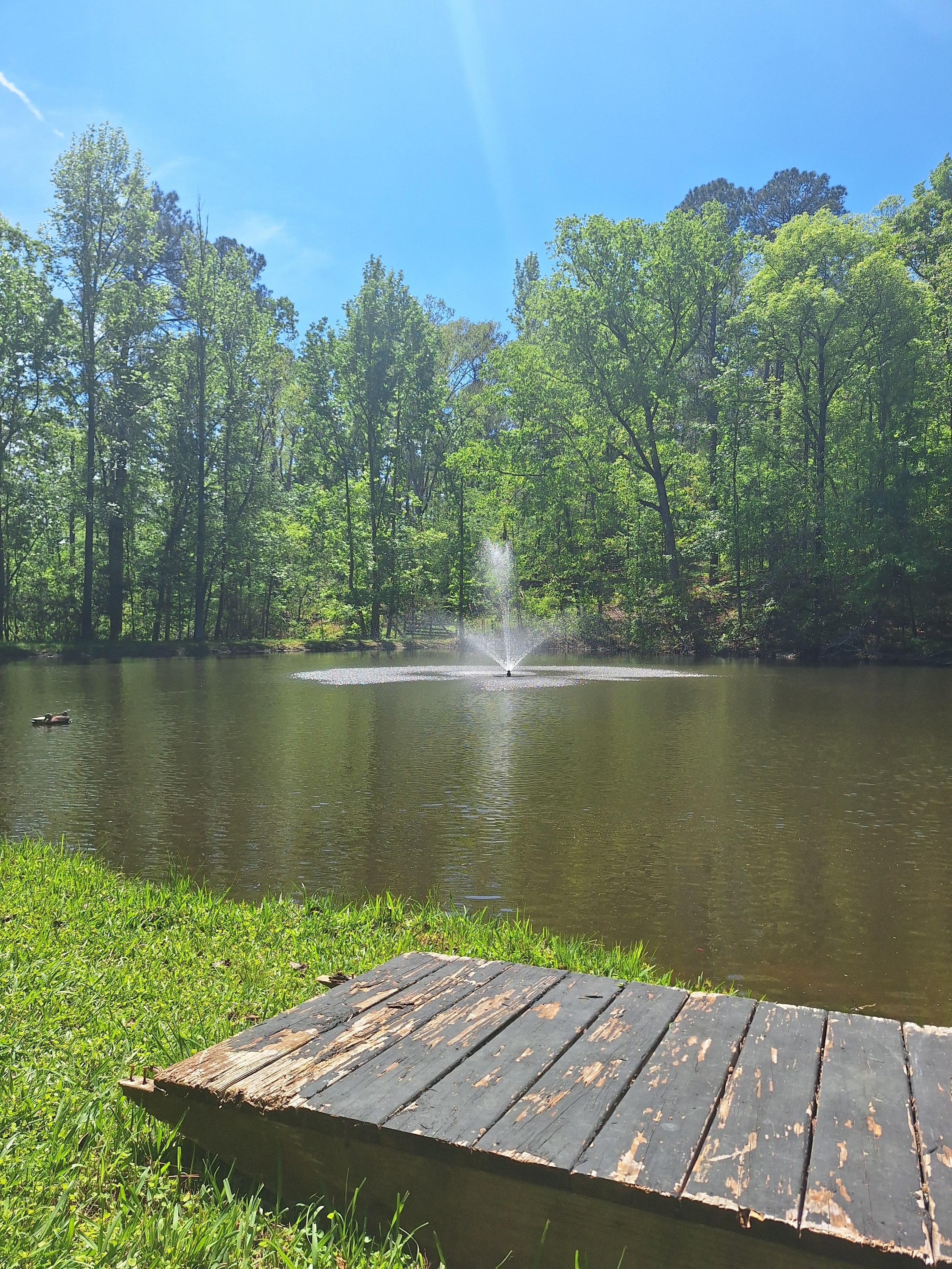 This fountain ca be easily seen from the balcony but it is better to walk to the pond and see it up close.