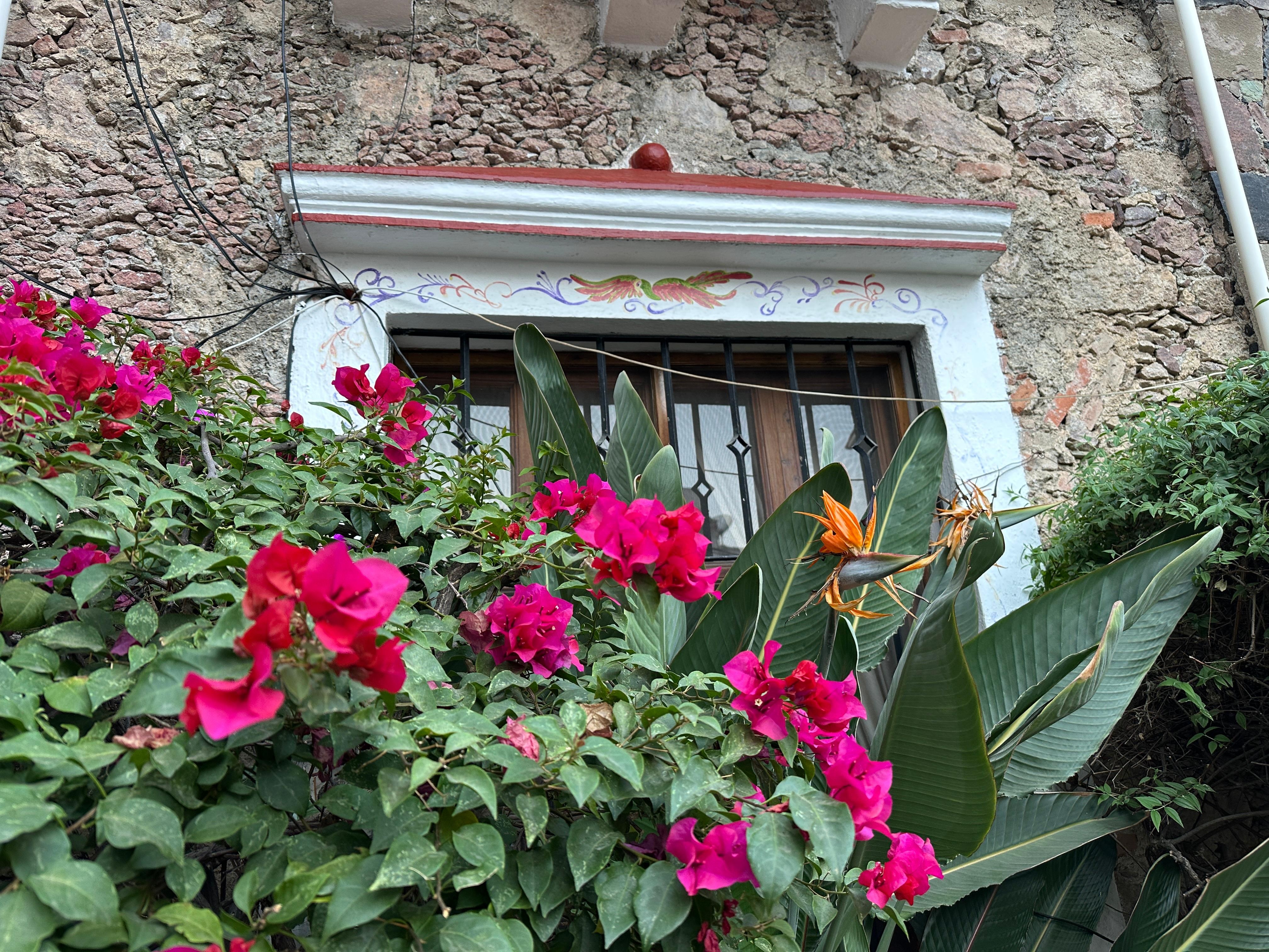 love the plants/flowers in our courtyard