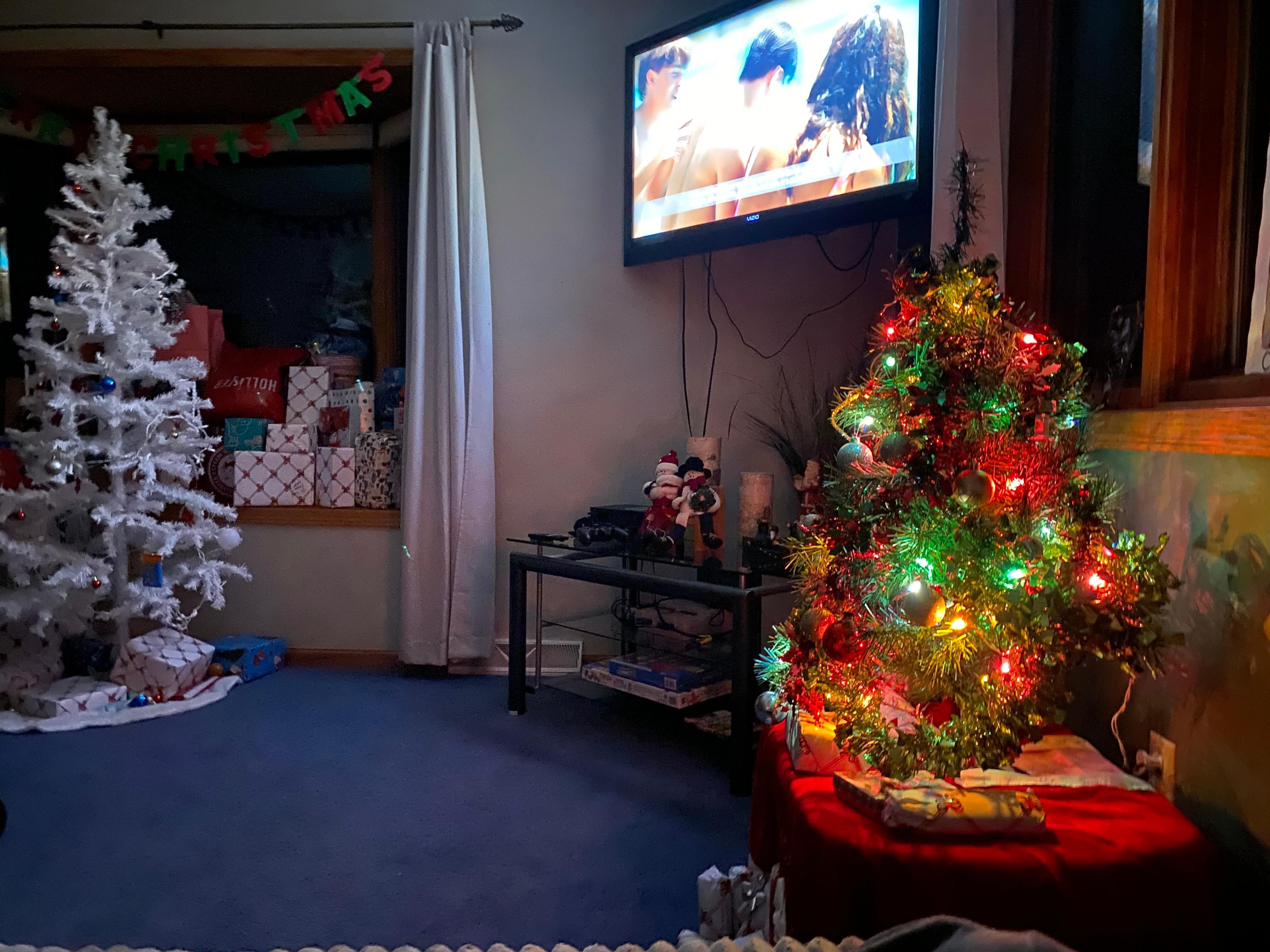 Quiet snowy night at the lake 